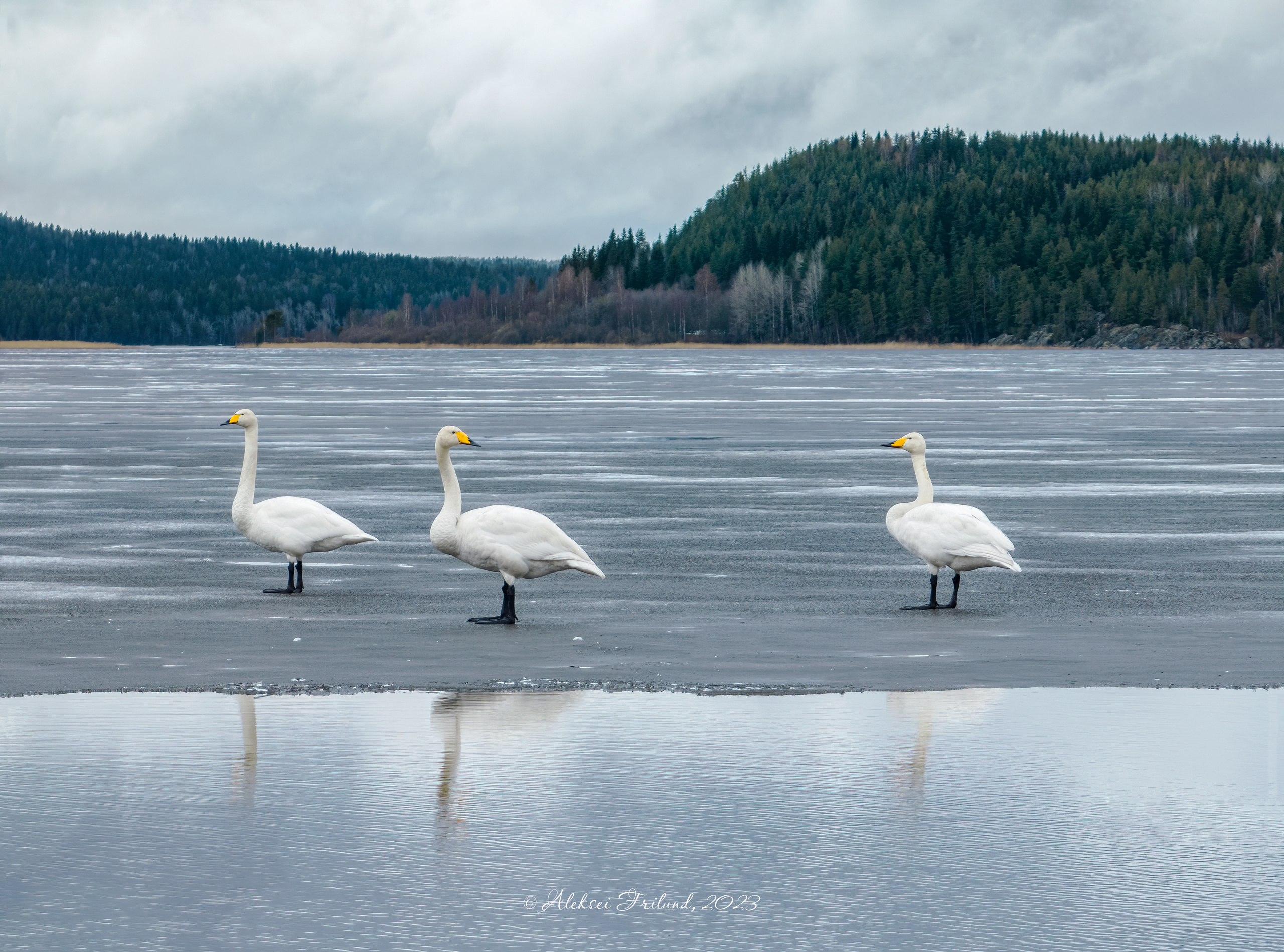 Ладожское озеро. Аэросъемка. Фото и Видео в Карелии. Алексей Фрилунд