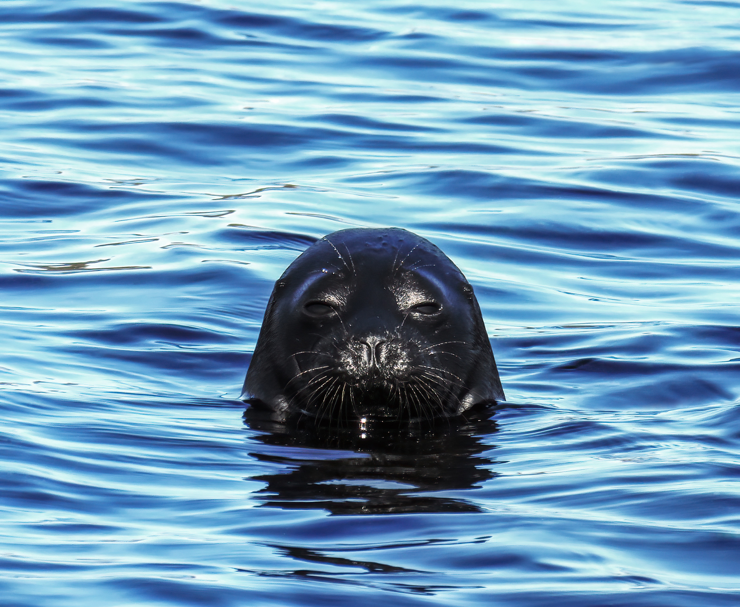 Ладожское озеро. Аэросъемка. Фото и Видео в Карелии. Алексей Фрилунд