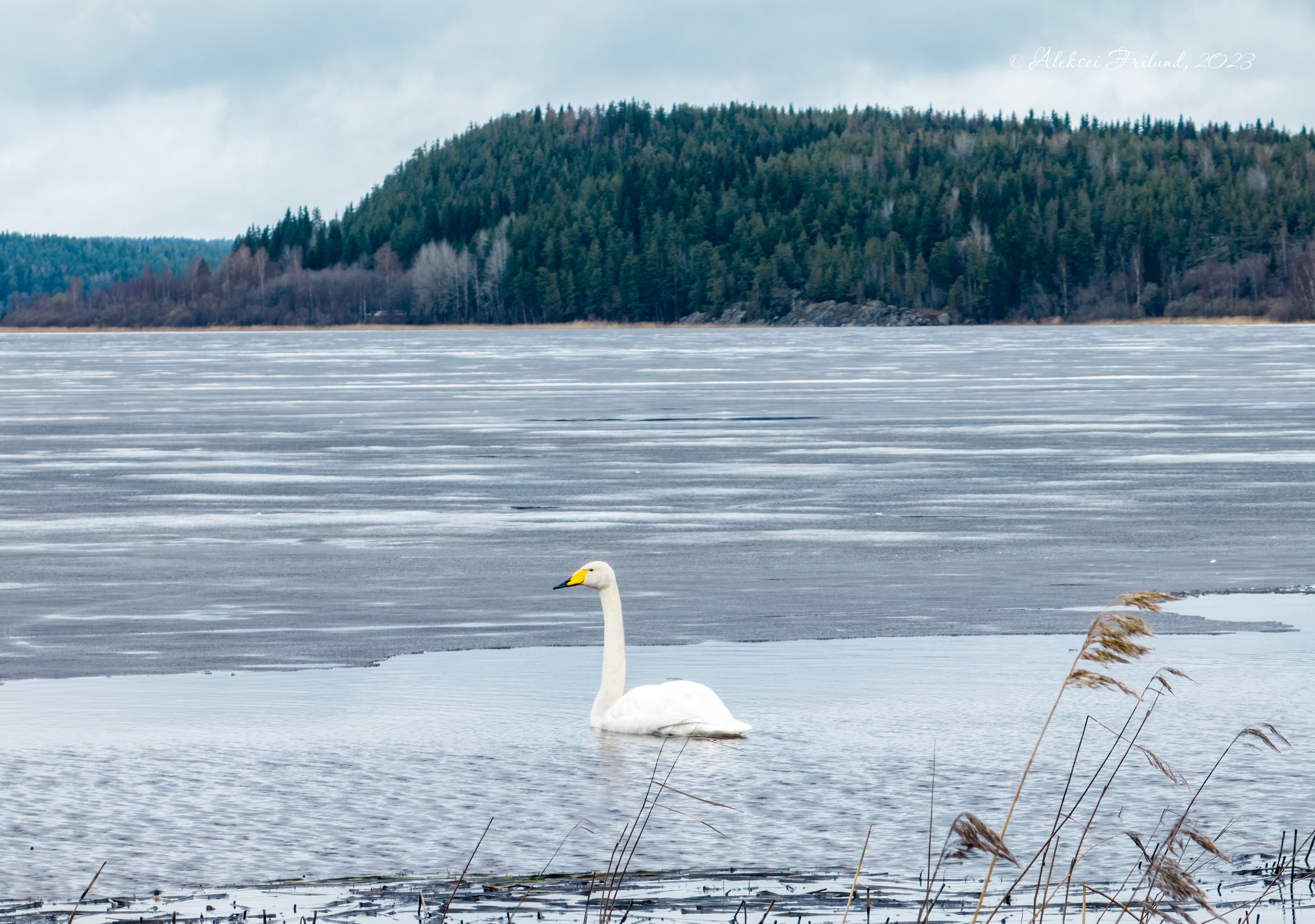 Ладожское озеро. Аэросъемка. Фото и Видео в Карелии. Алексей Фрилунд