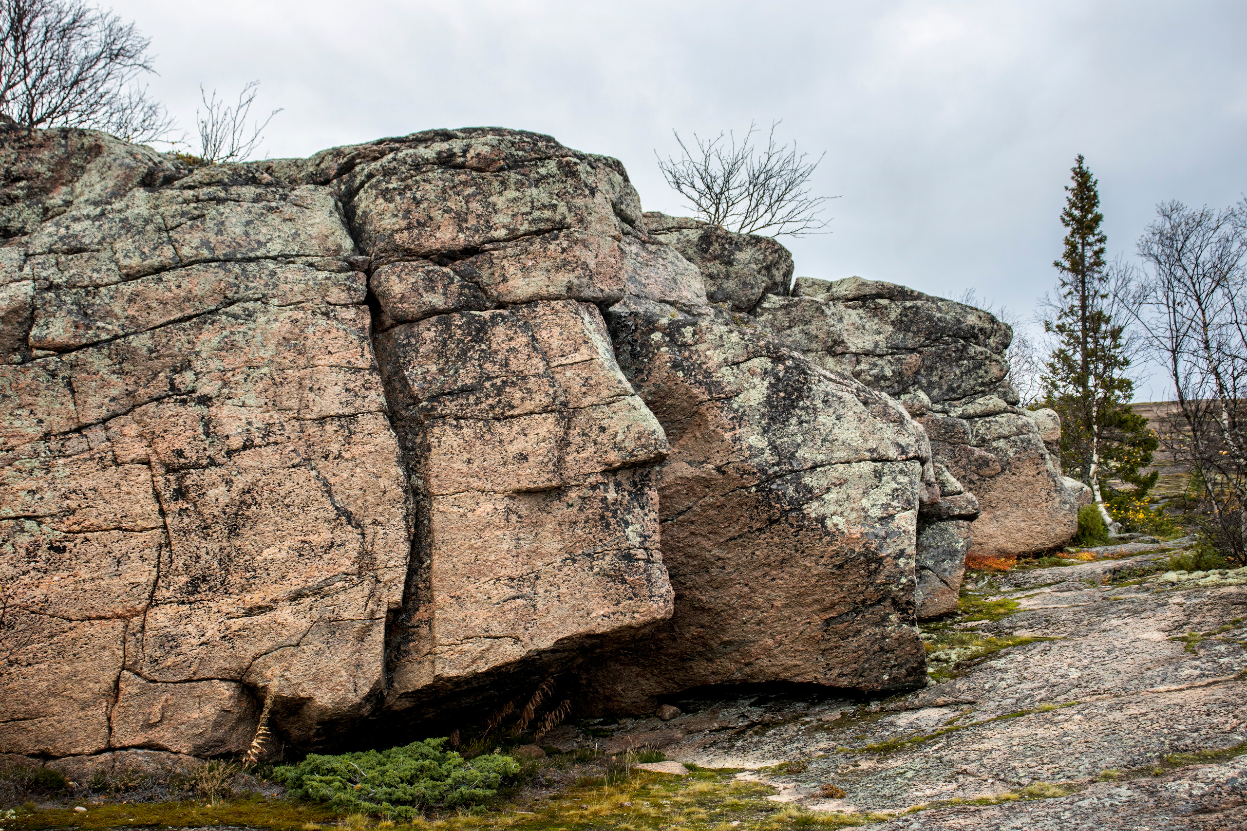 Белое море. Аэросъемка. Фото и Видео в Карелии. Алексей Фрилунд