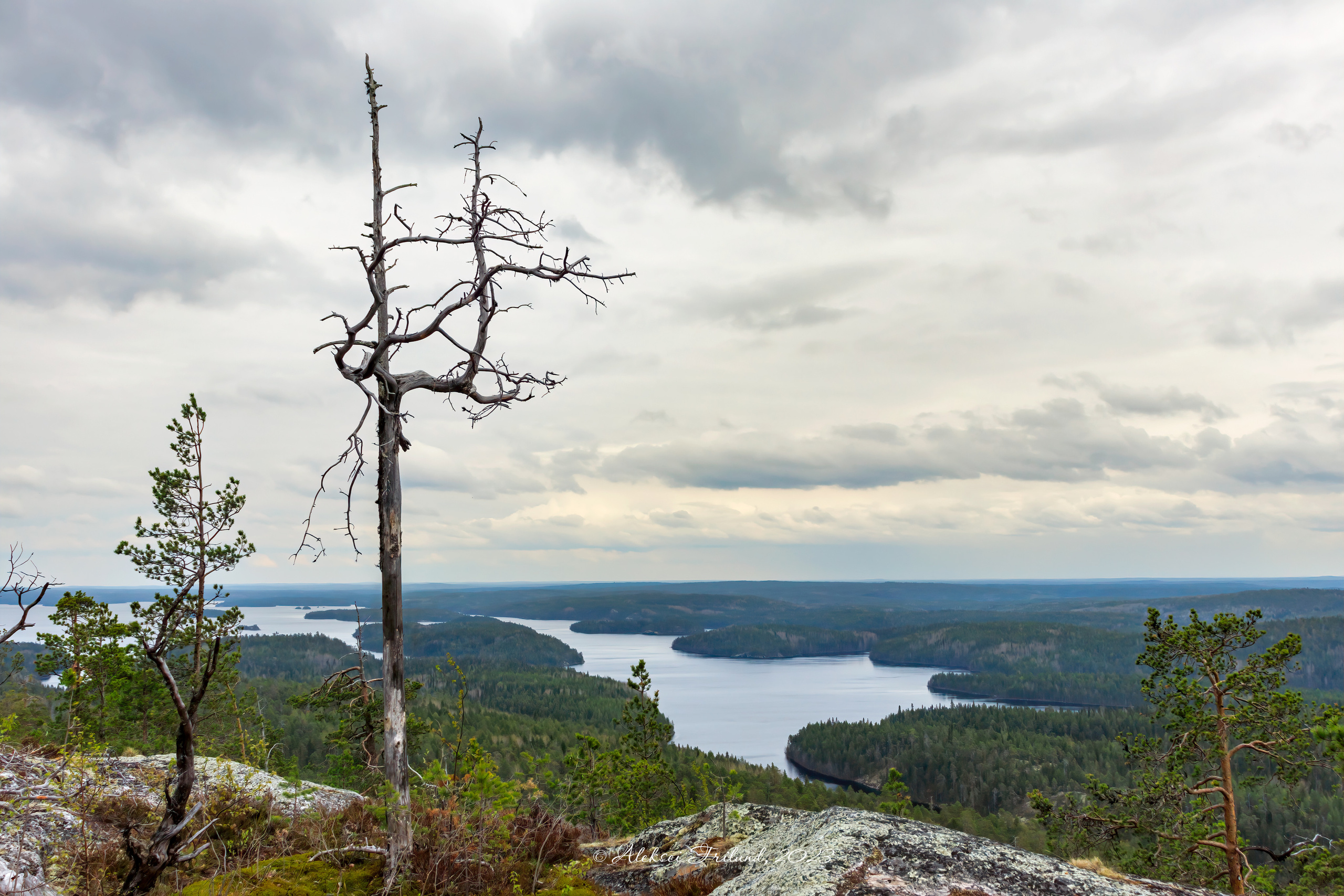 Природа Карелии. Аэросъемка. Фото и Видео в Карелии. Алексей Фрилунд