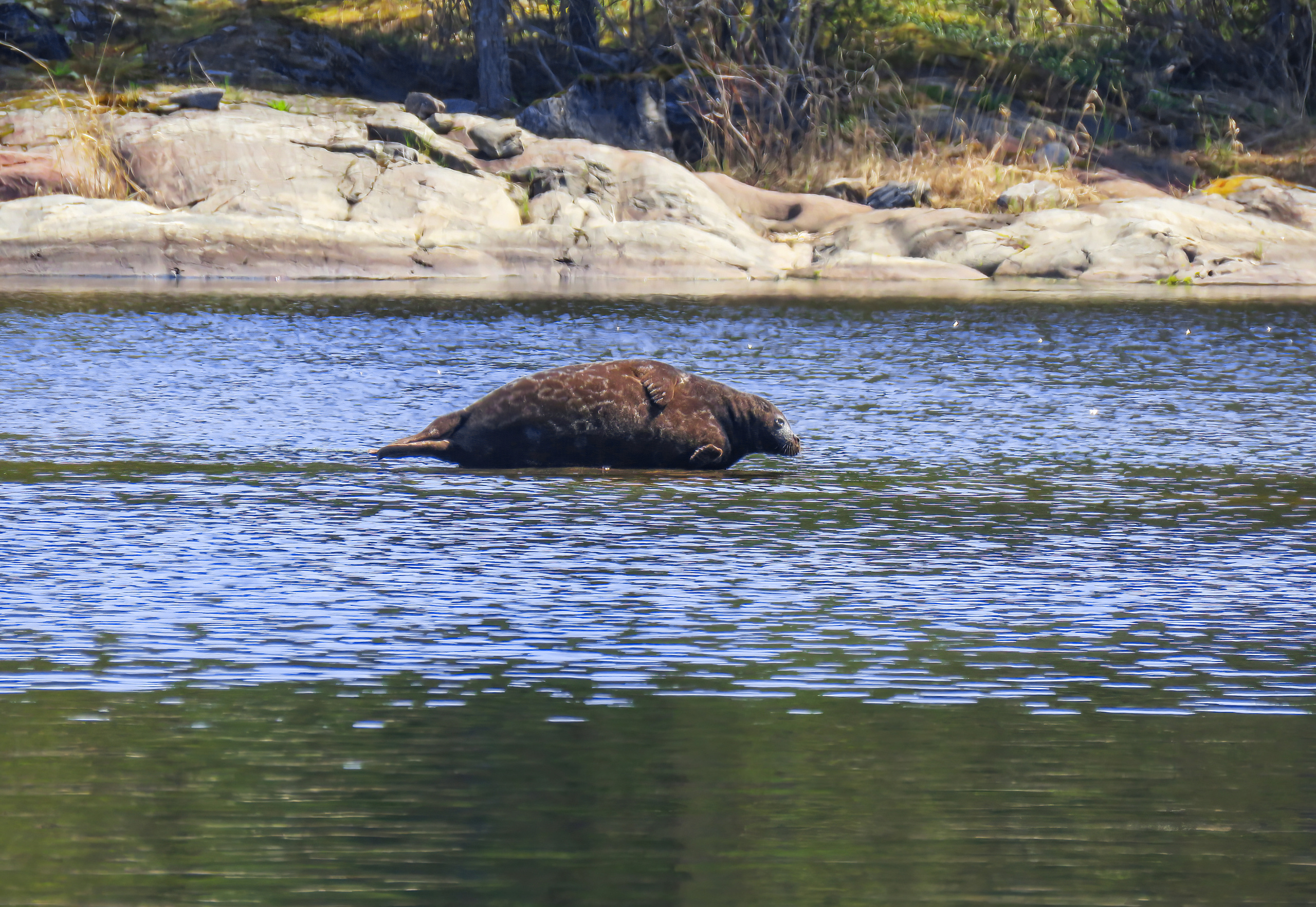 Ладожское озеро. Аэросъемка. Фото и Видео в Карелии. Алексей Фрилунд