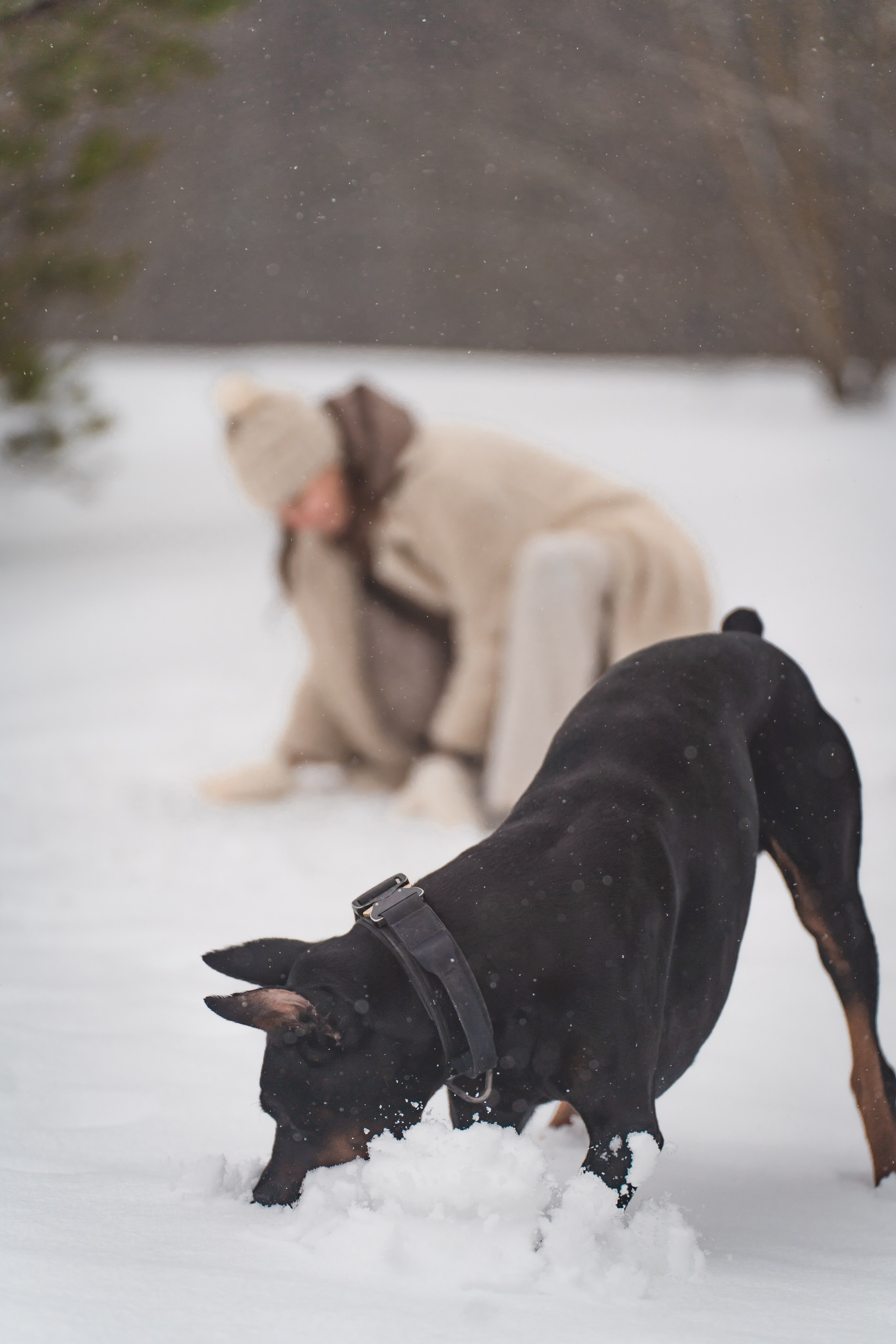 Ольга и Велес. Фотограф в Москве Ленарская Дарья