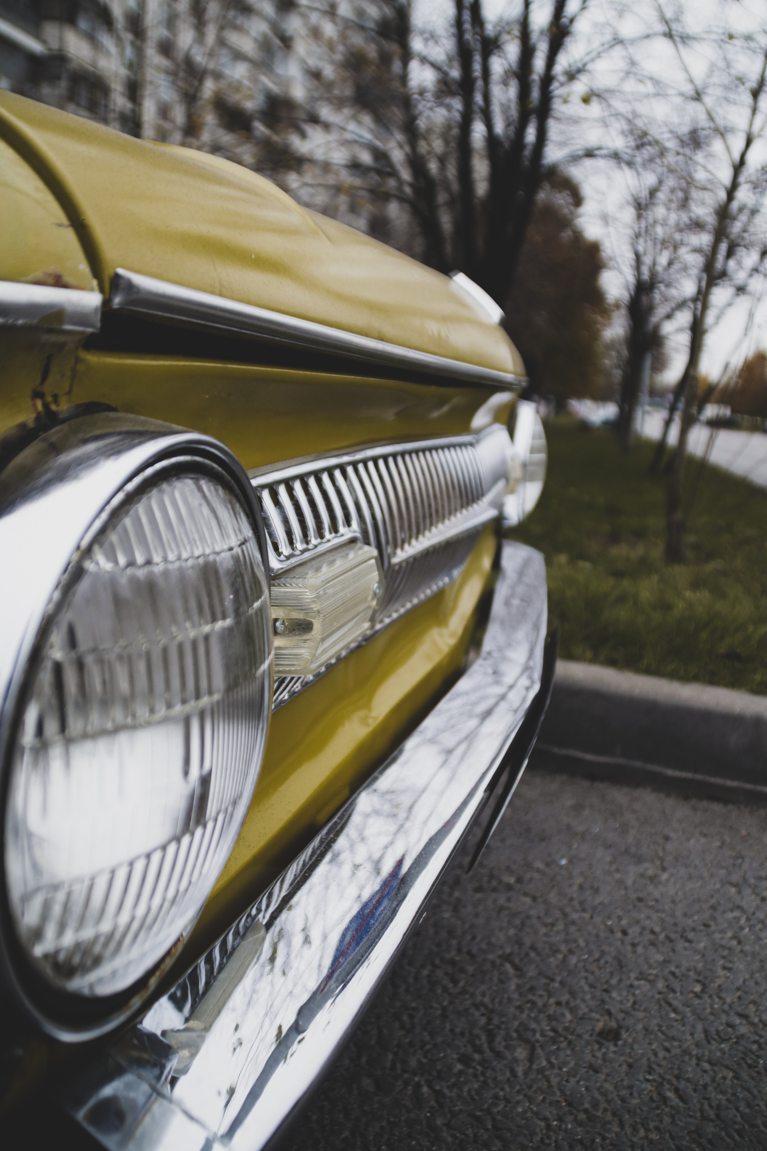 ZAZ. Фотограф Александр Рауш