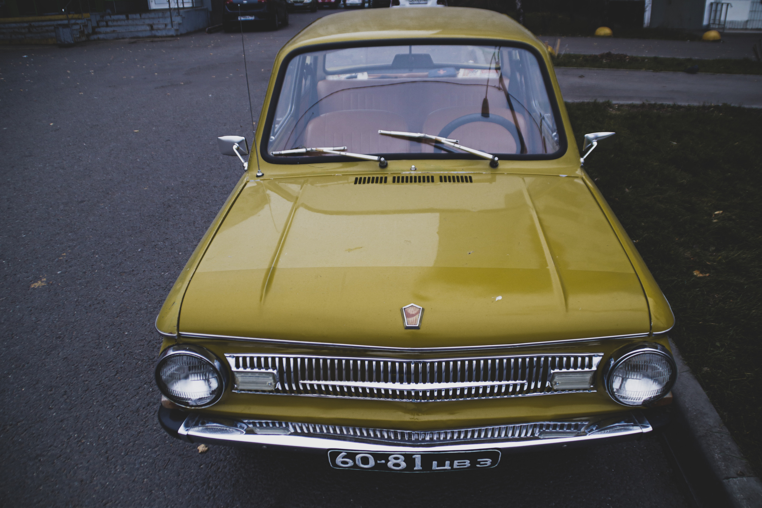 ZAZ. Фотограф Александр Рауш