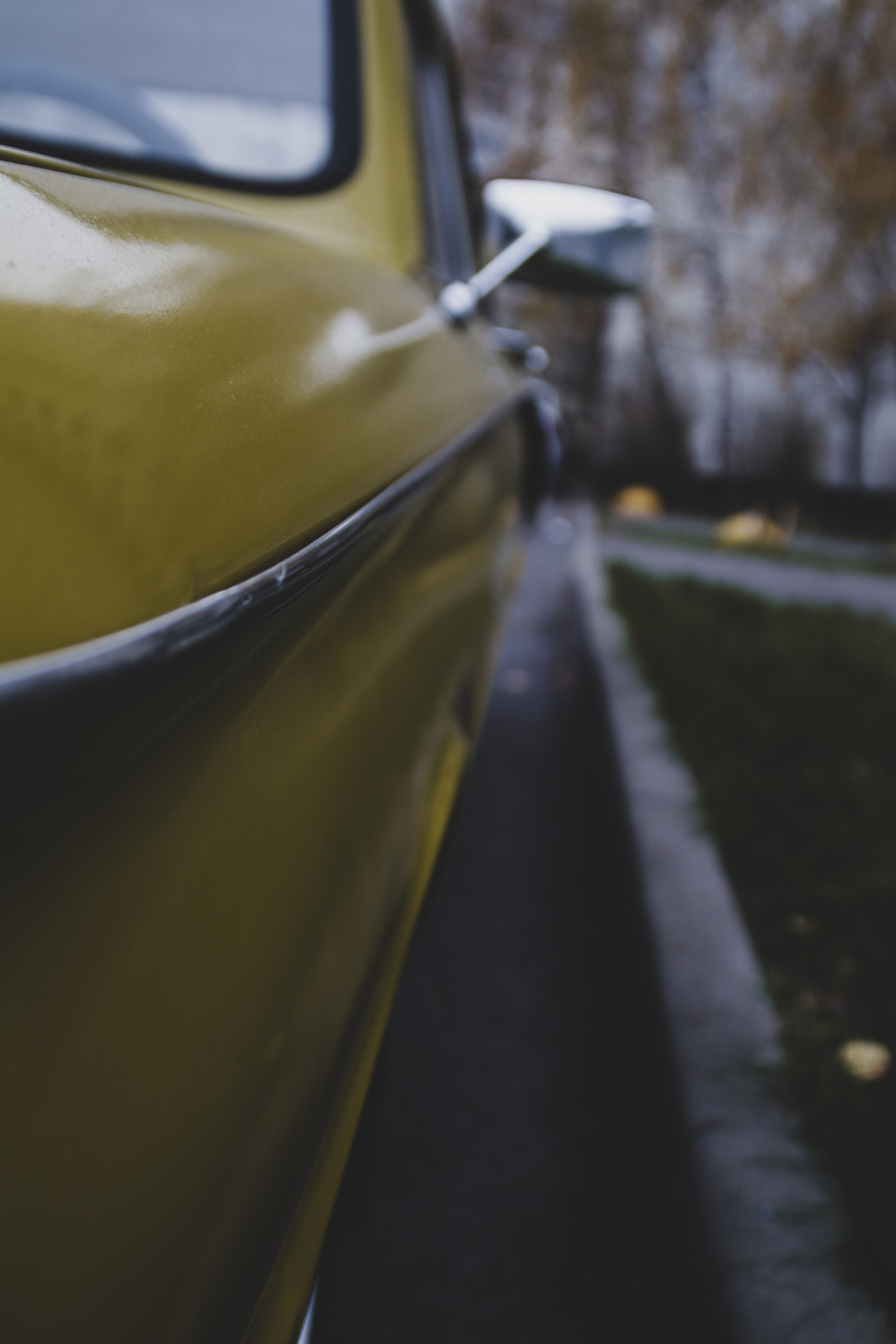 ZAZ. Фотограф Александр Рауш