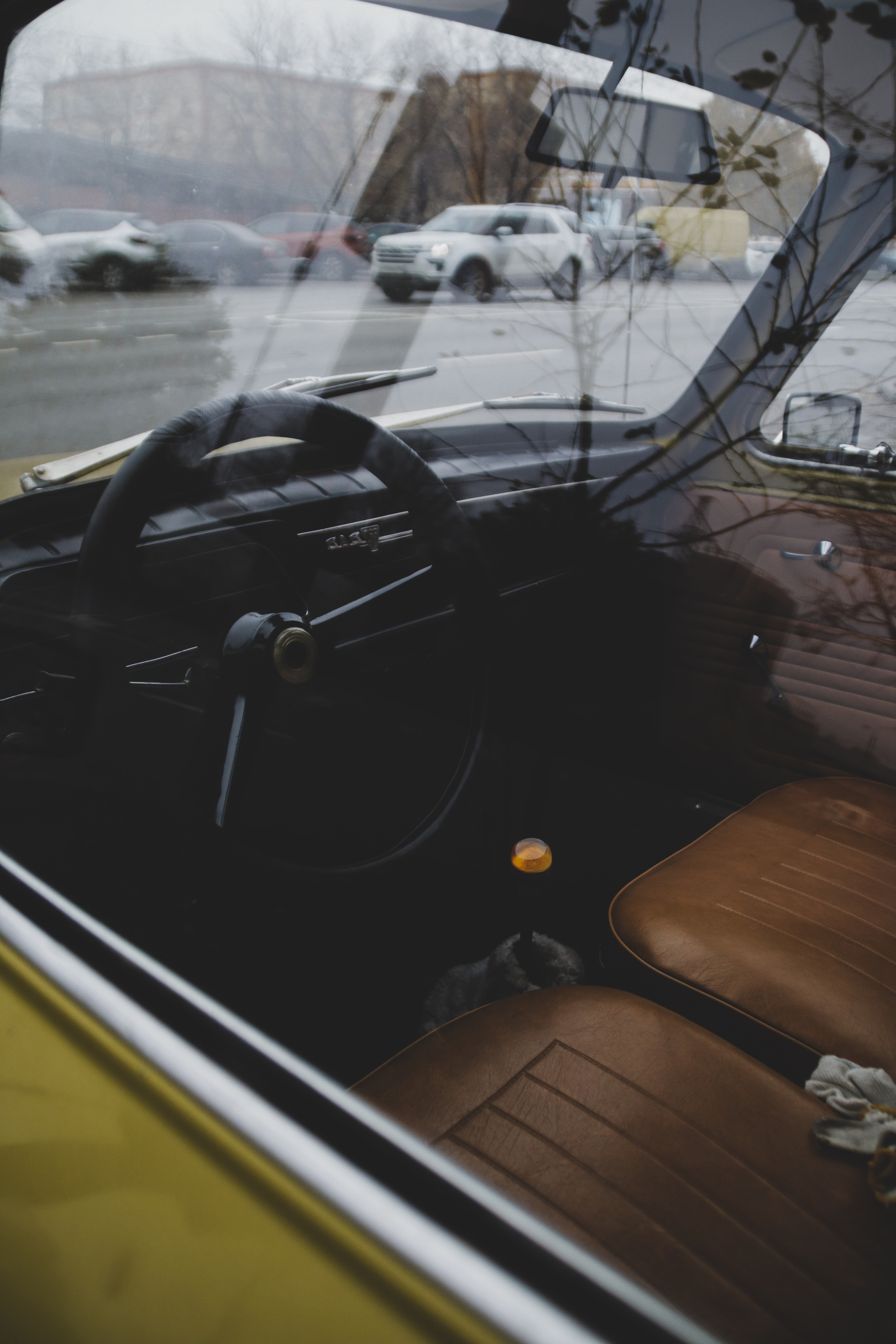 ZAZ. Фотограф Александр Рауш