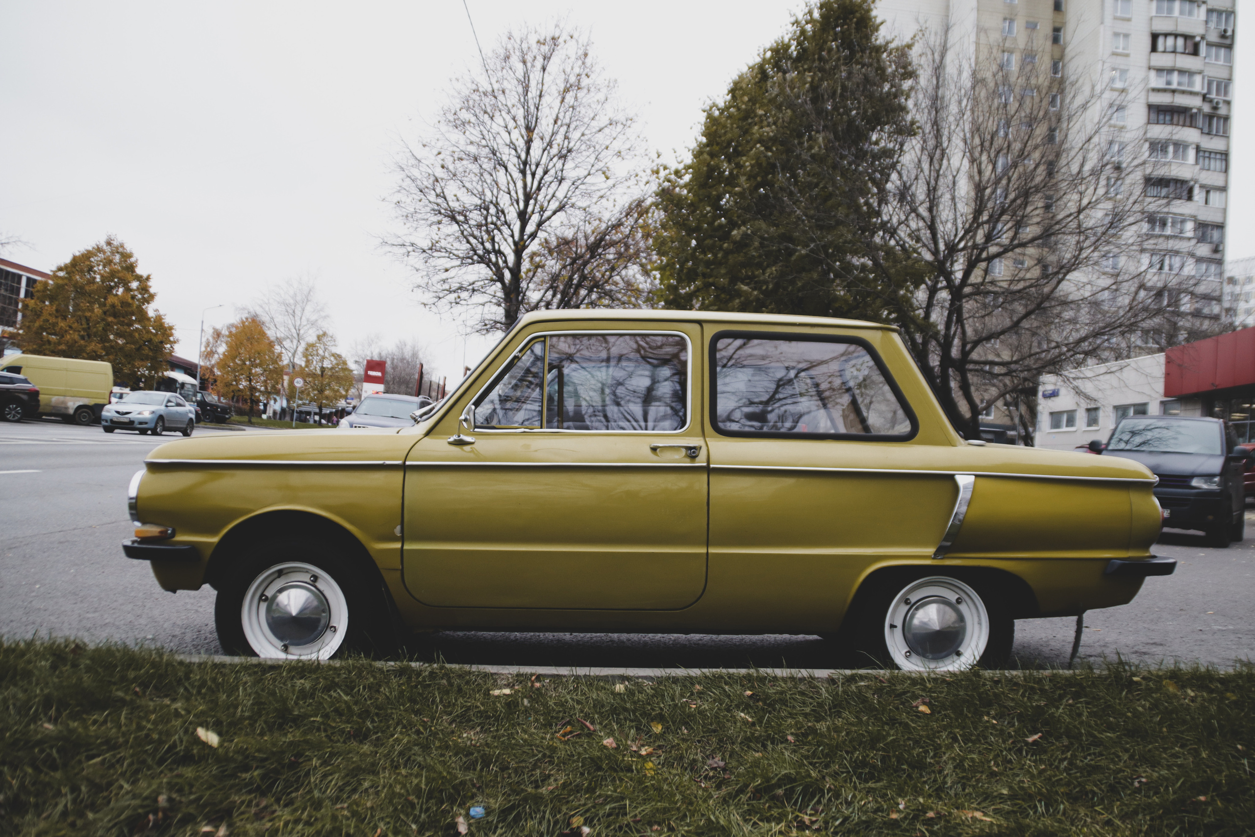 ZAZ. Фотограф Александр Рауш