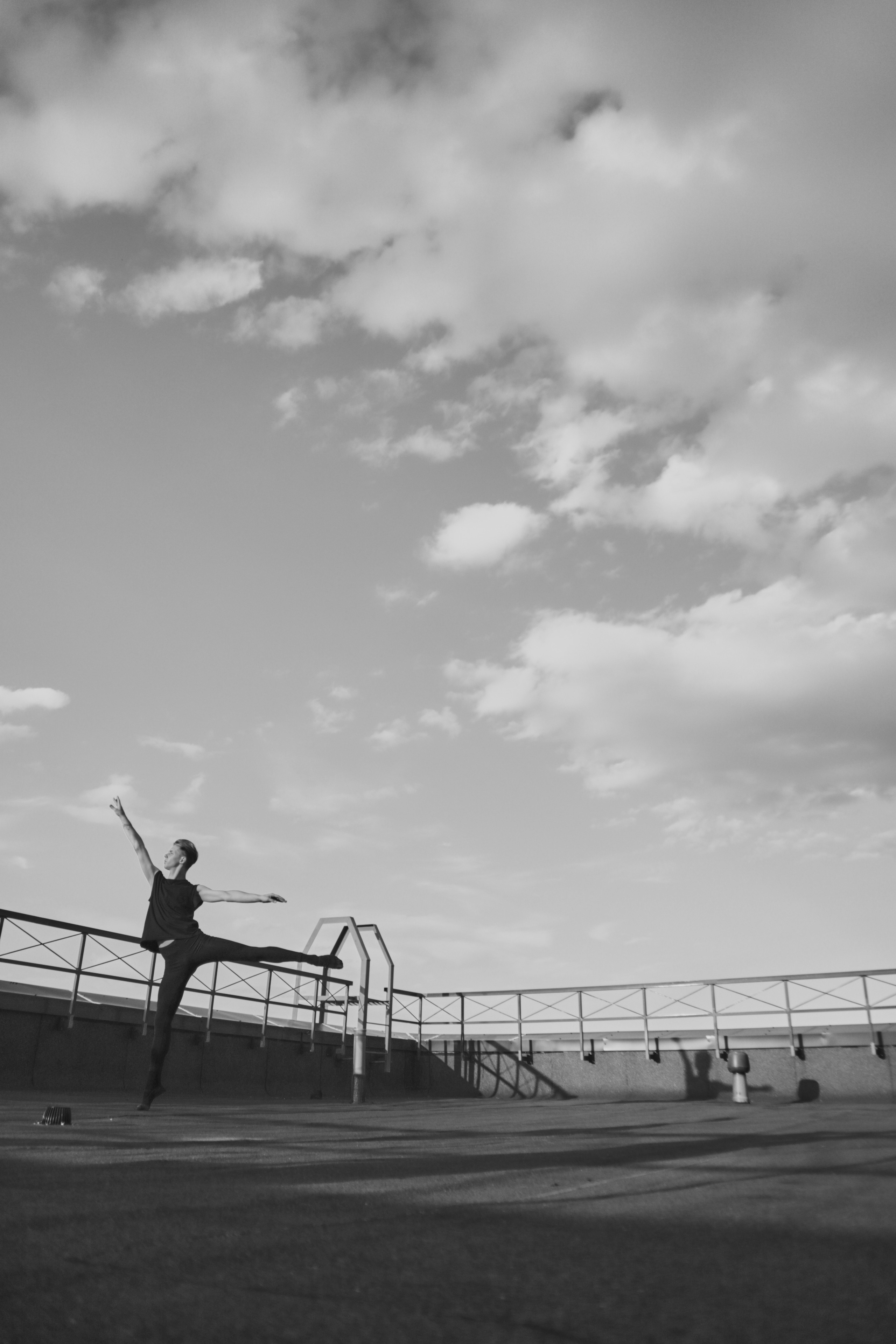 необалет крыша чб