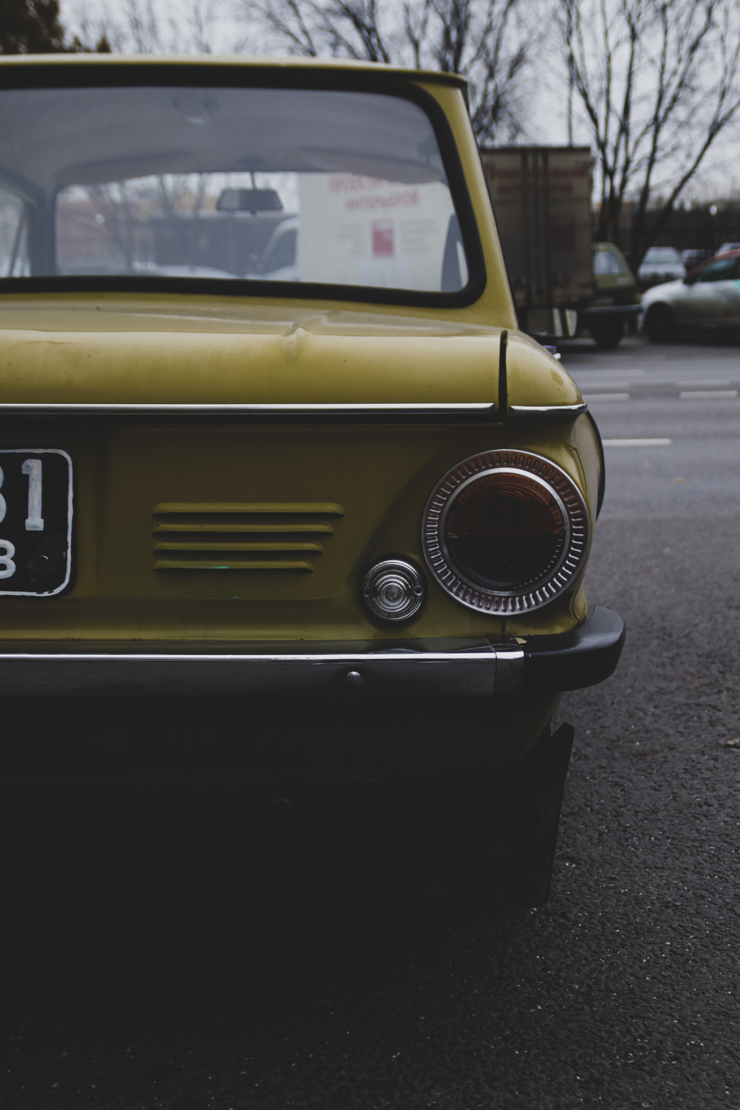 ZAZ. Фотограф Александр Рауш