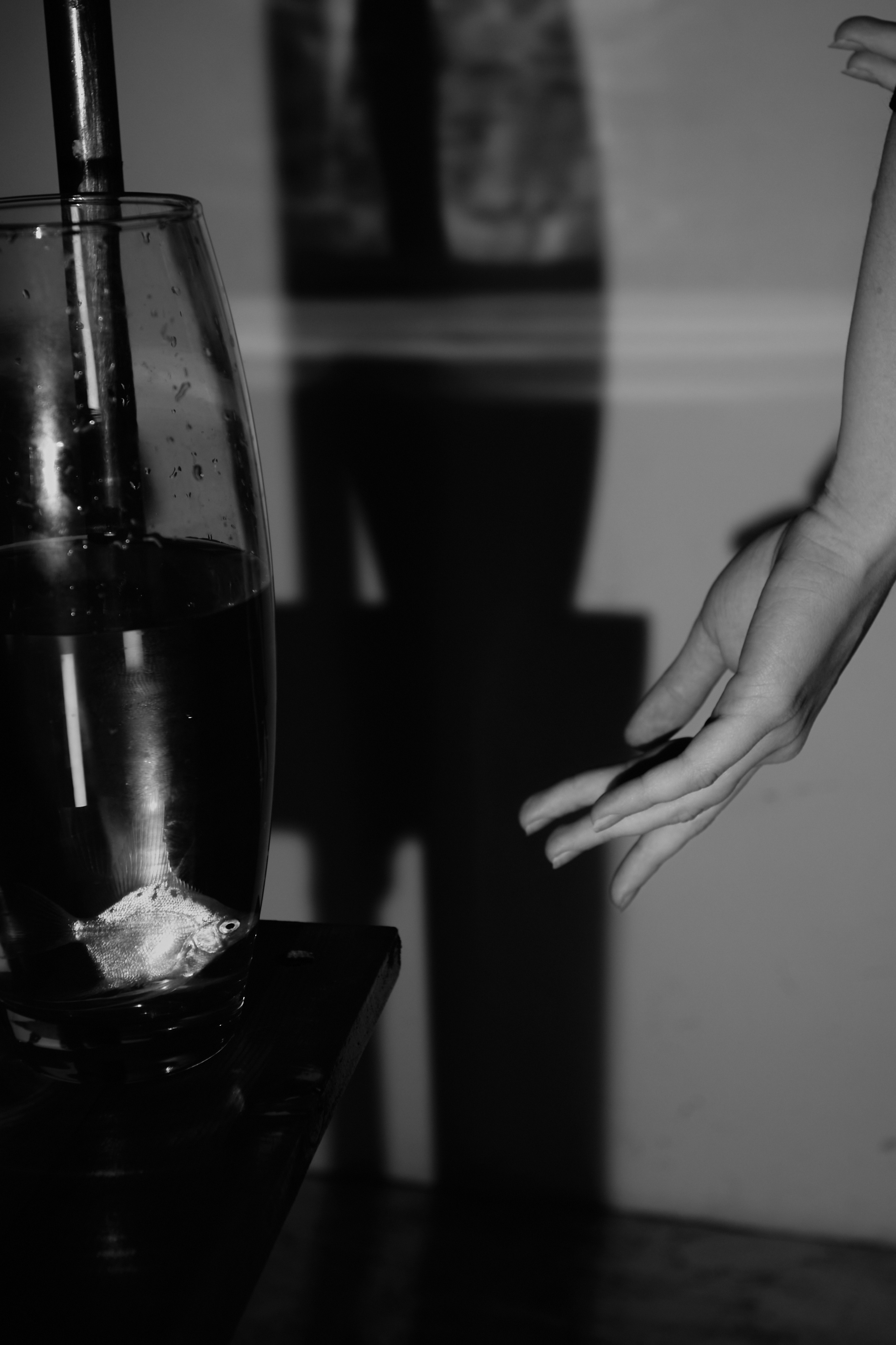 Nat. Фотограф Александр Рауш