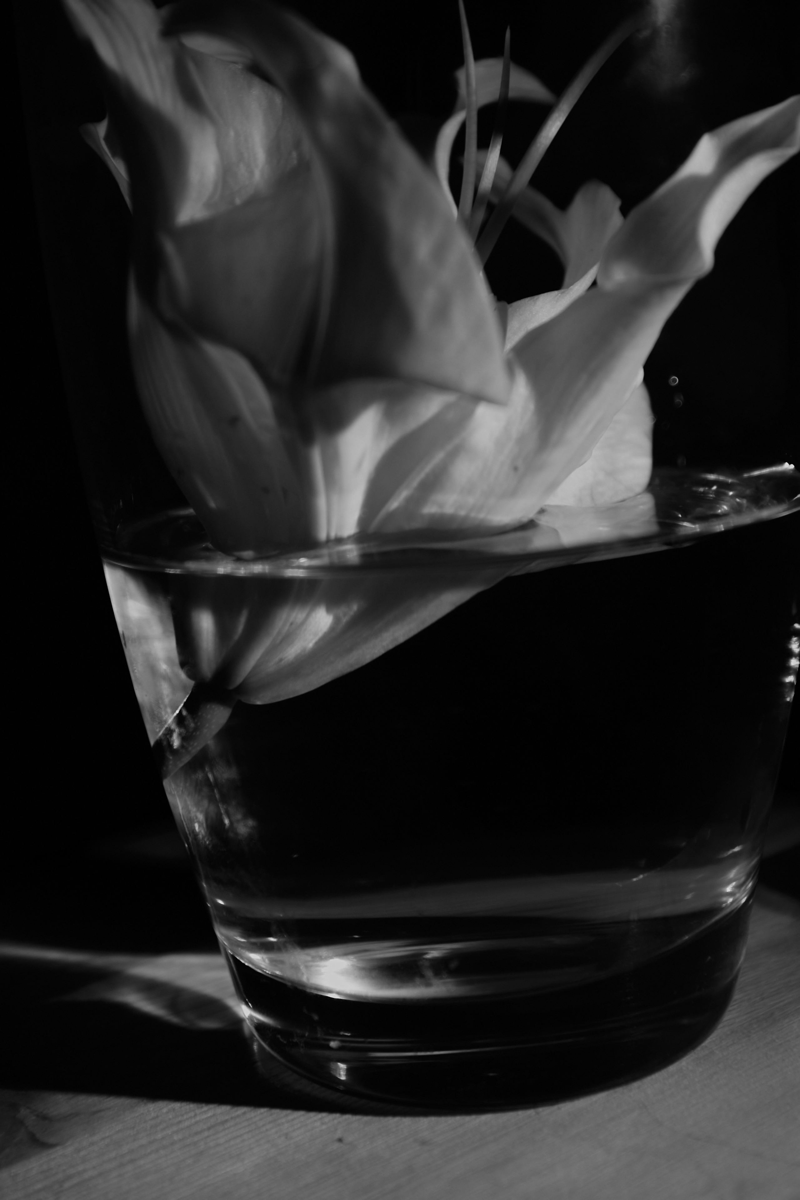 Nat. Фотограф Александр Рауш