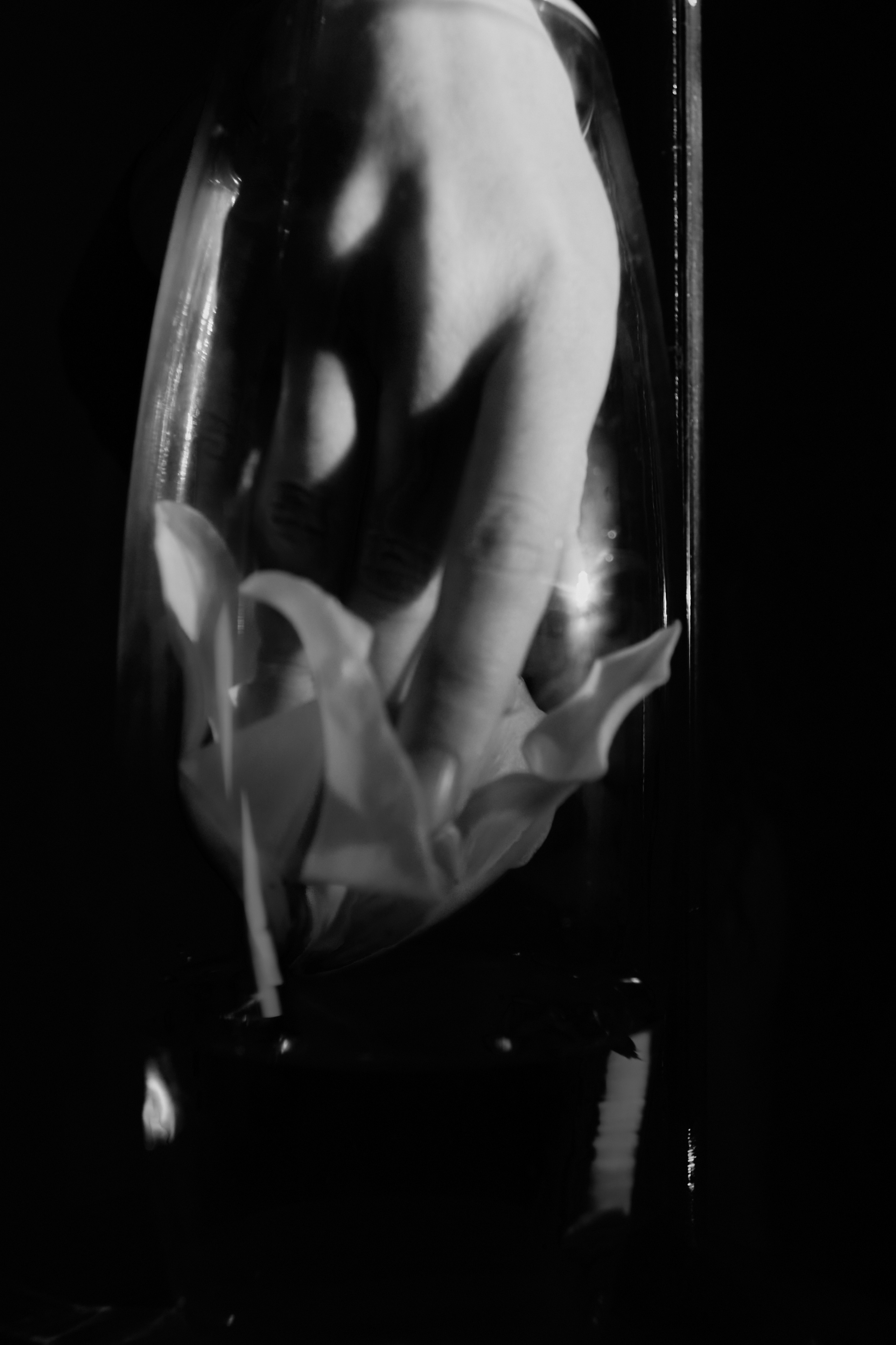 Nat. Фотограф Александр Рауш