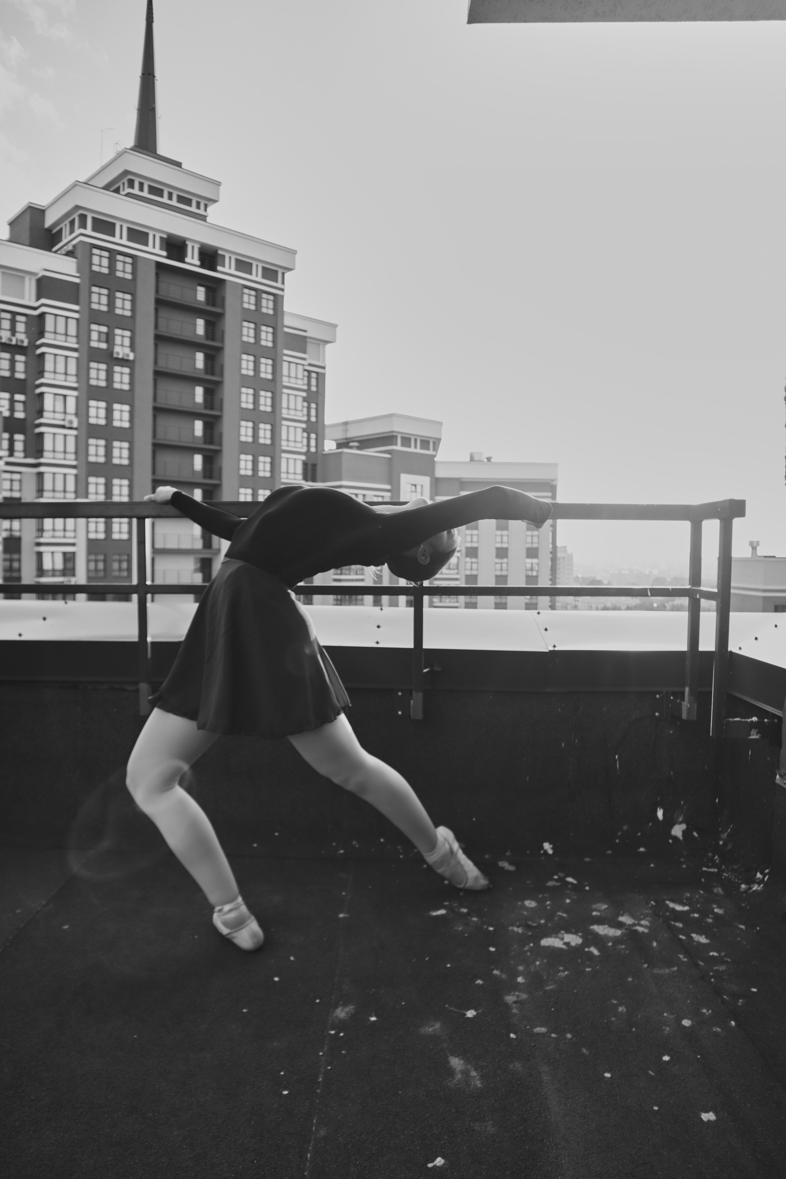 чб фото крыша