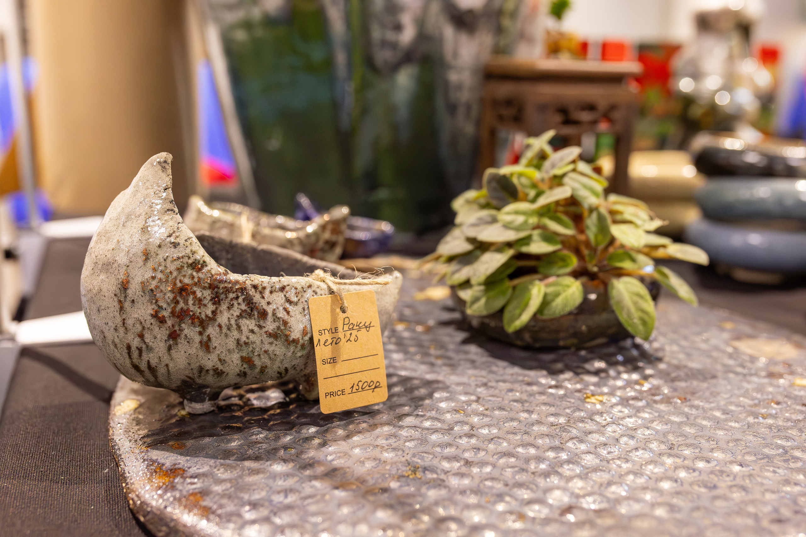 Орхидиум сентябрь 2025. Александра Куликова фотограф, Москва