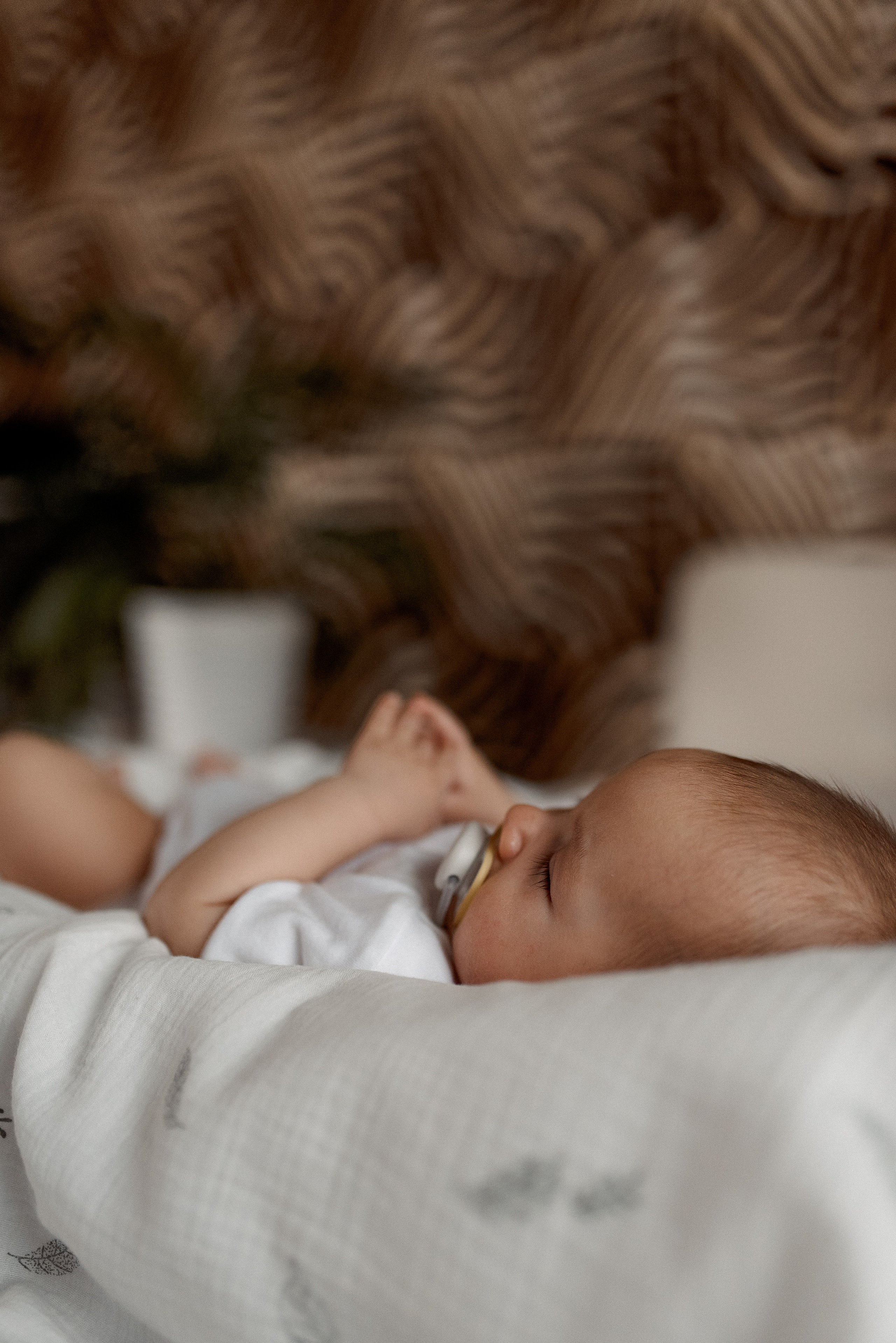 Иван. Семейный фотограф в Москве Екатерина Север