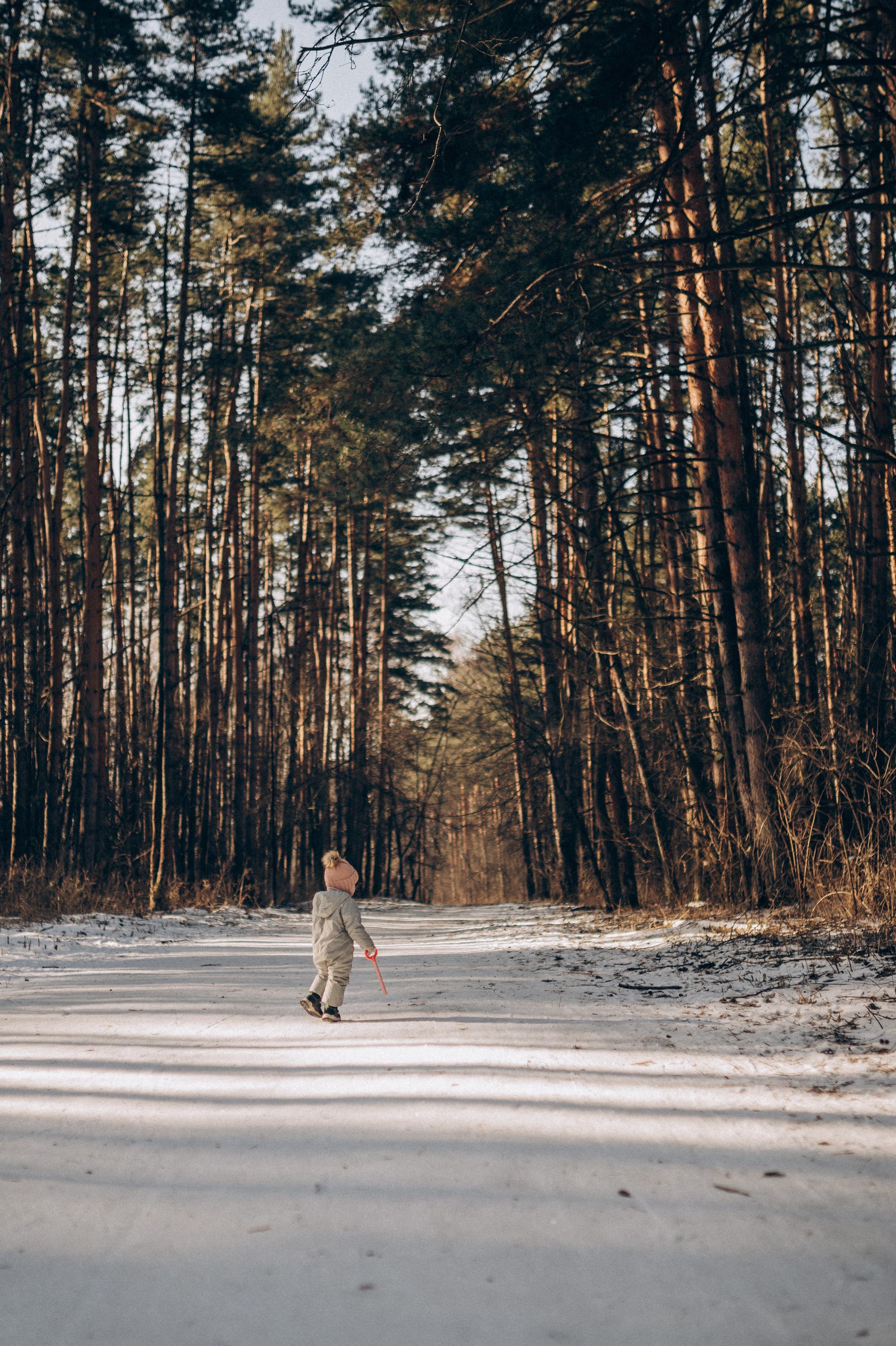 Зимняя фотосессия в лесу. Семейный фотограф в Домодедово и Москве Елена Пичугина
