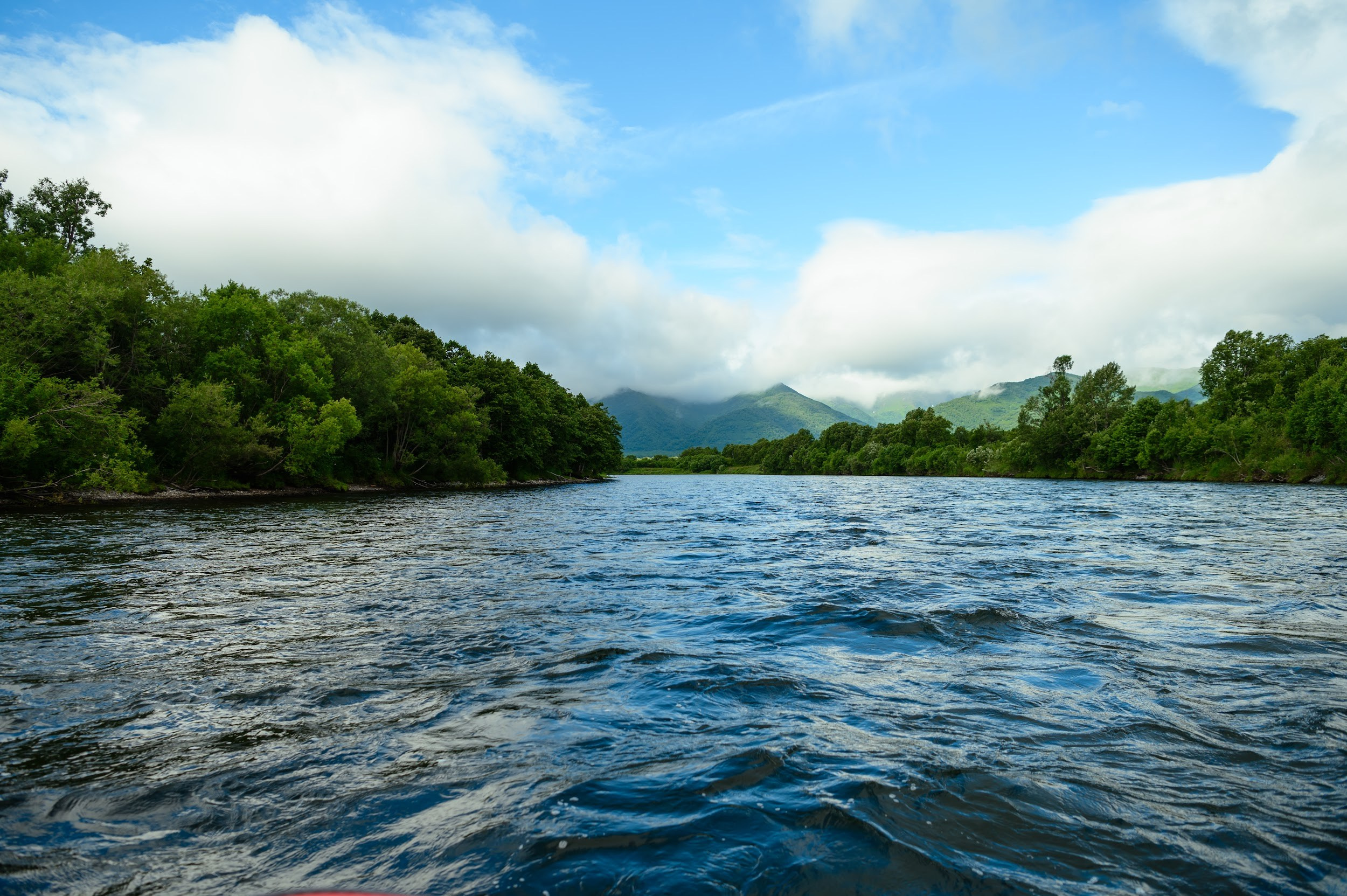 Камчатка 08.2024. Фотограф Марина Росси
