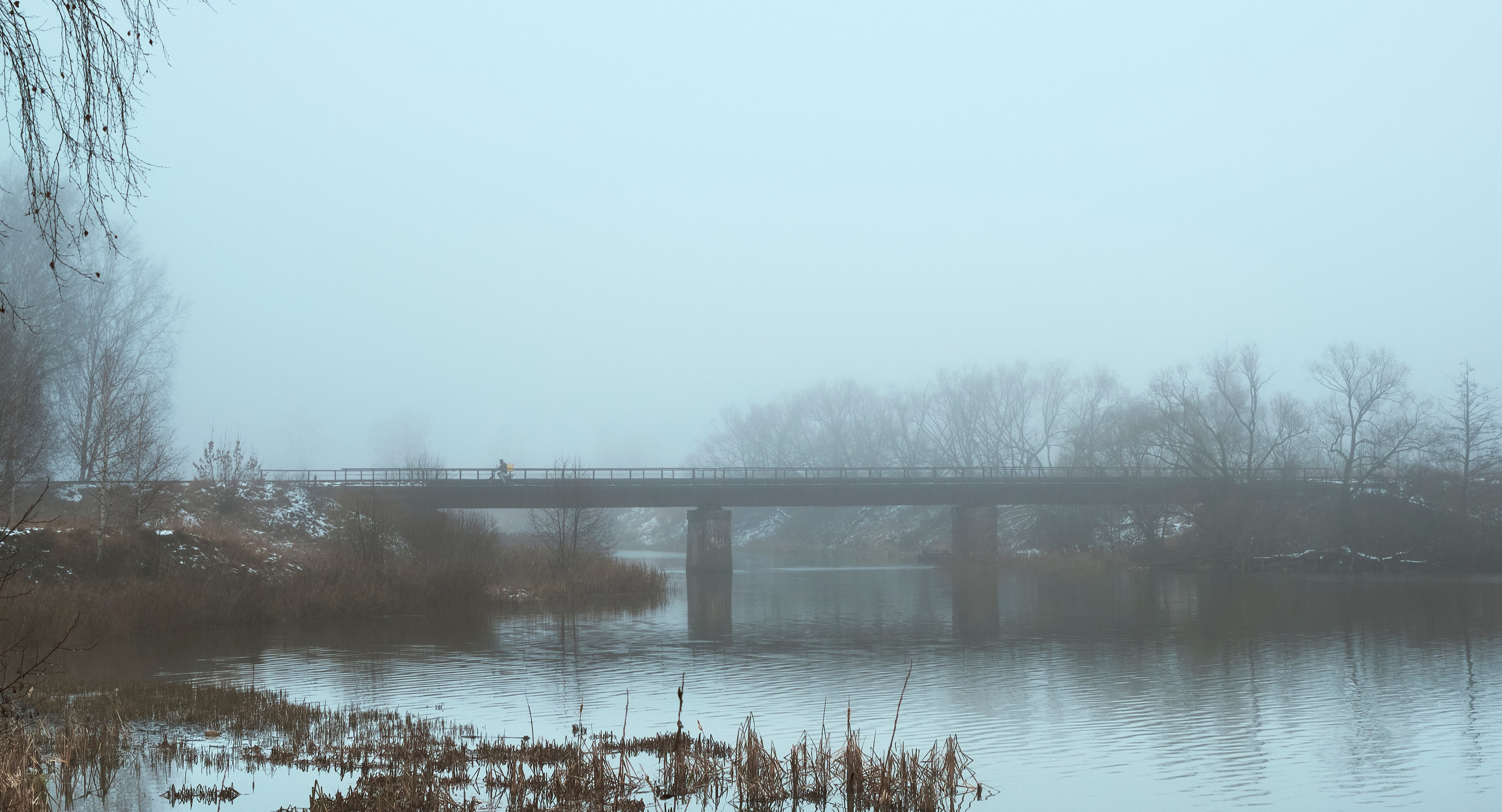 Съемкав туман. Фотограф для маркетплейсов в Иваново | Съемки одежды и белья