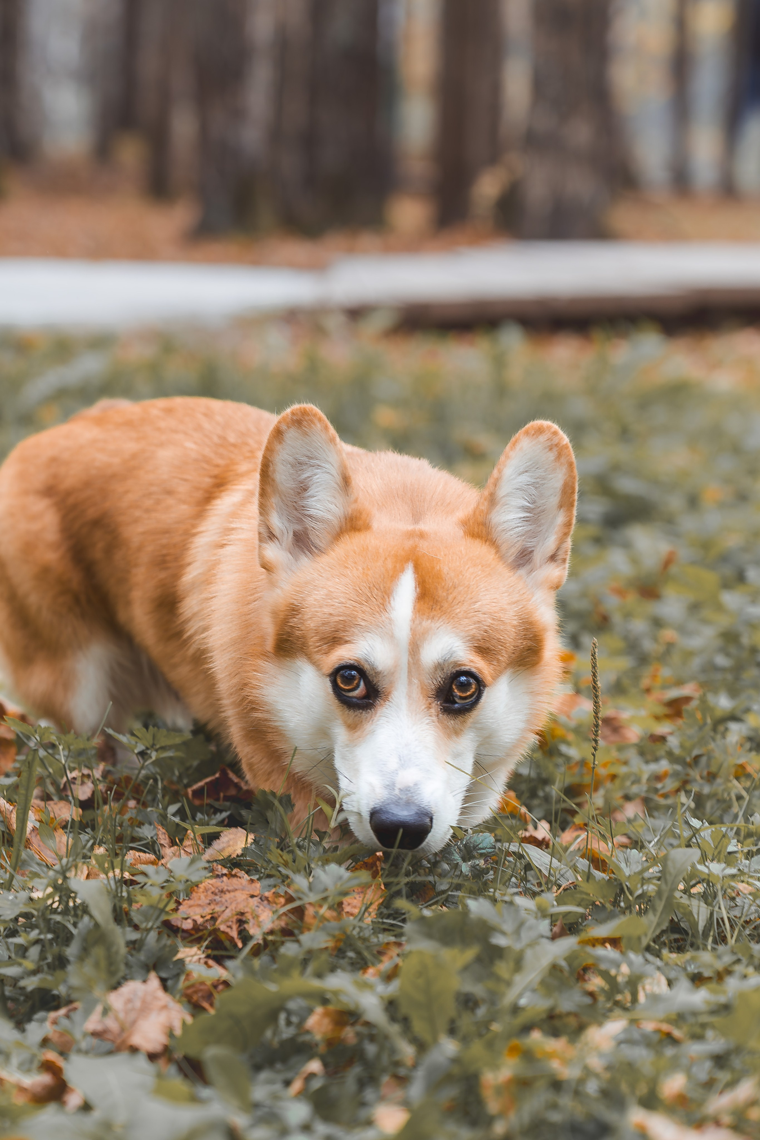 Уютная семейная фотосессия Натальи. Фотограф Евгений Егоров