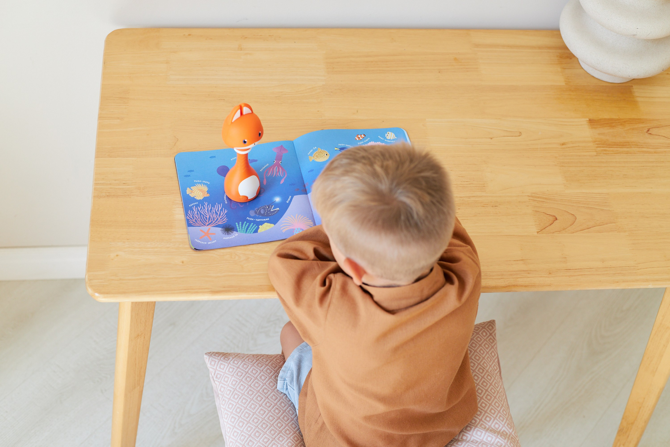 Alilo.Part 4. Коммерческий фотограф Алена Федорова. Санкт-Петербург