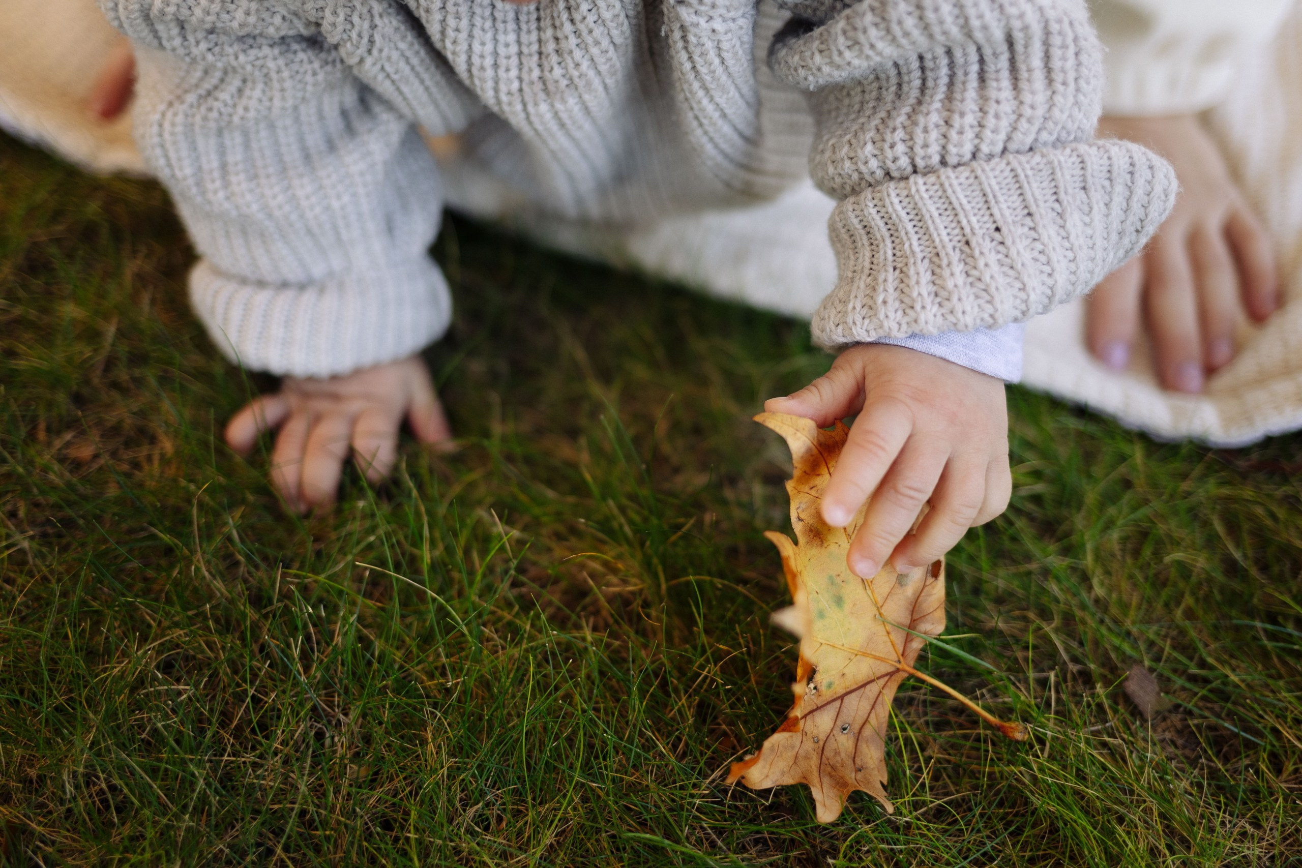 Мия. Семейный фотограф в Севастополе и Симферополе Александра Чистякова