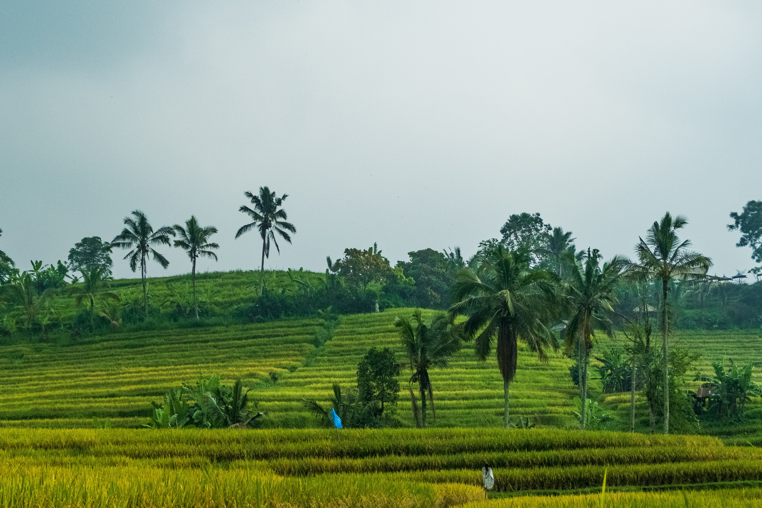 Остров Бали. Фотографии из путешествий