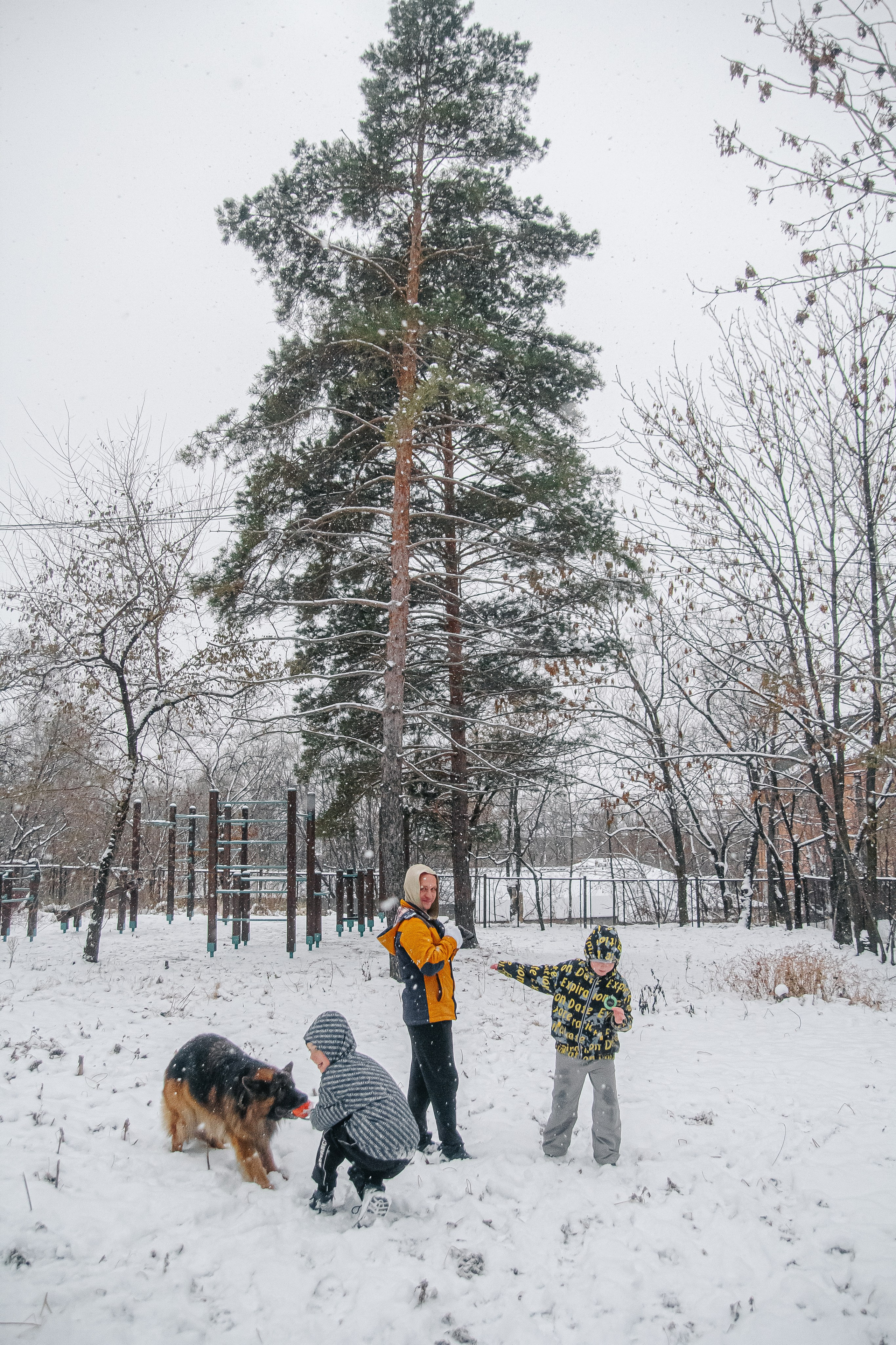 Первый снег 24. Фотограф в Хабаровске Юлия Чванова
