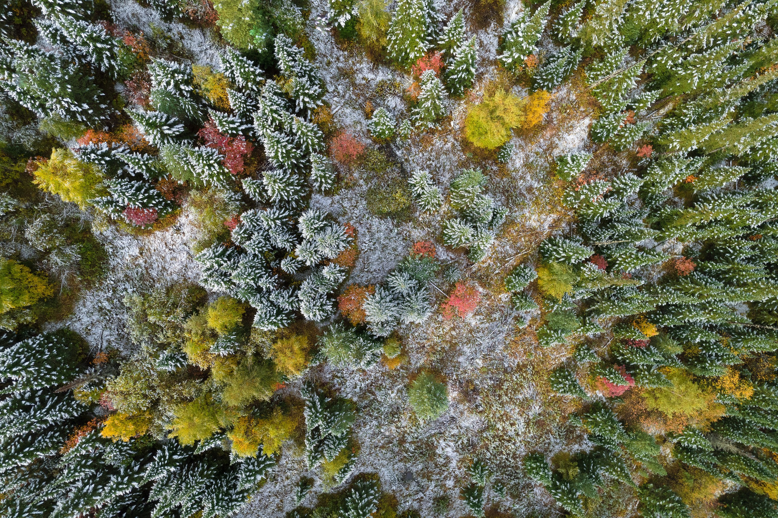 Ергаки. Фотограф в Красноярске Нерозя Александр. Пейзаж, природа, портрет