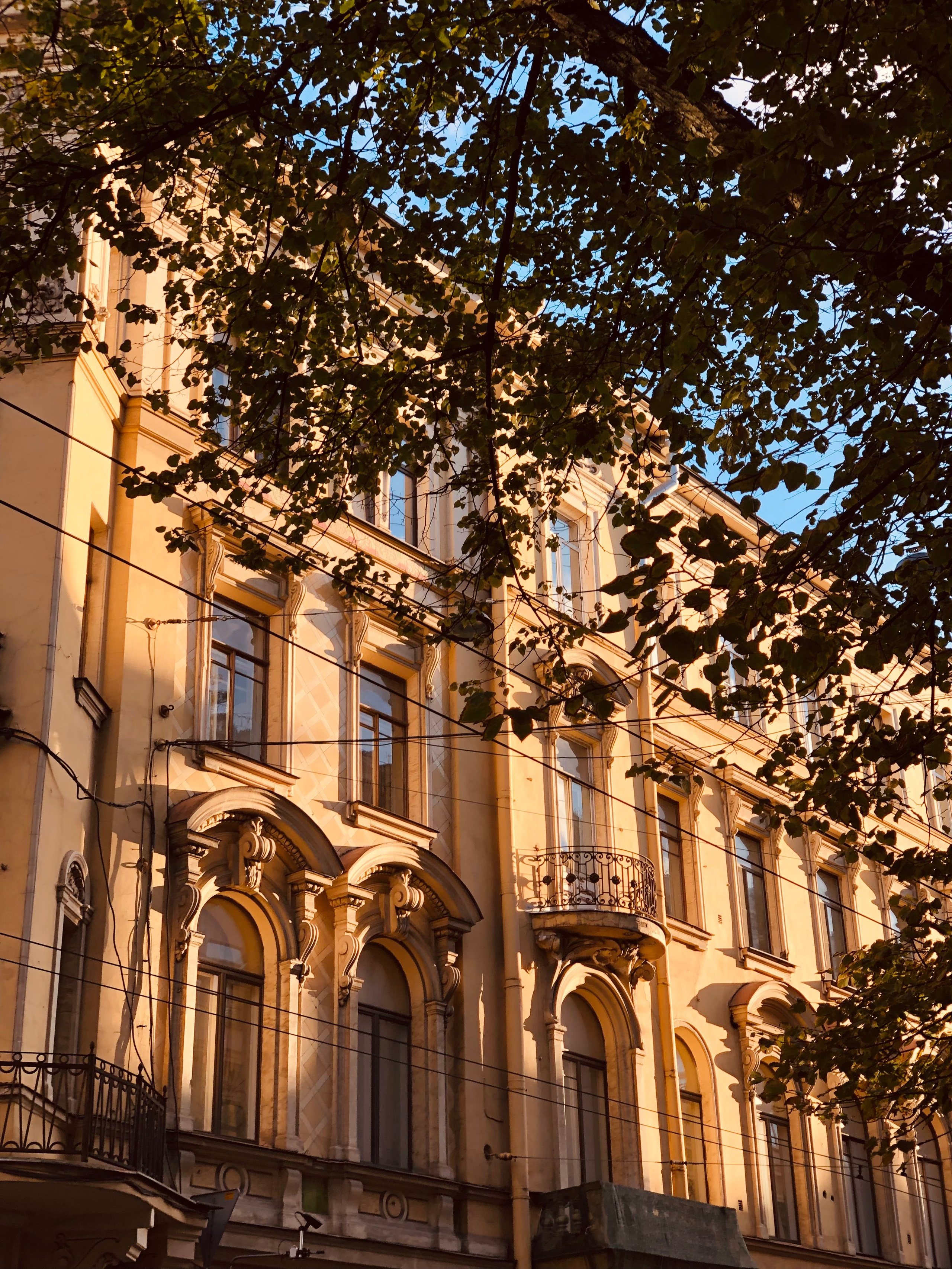 Октябрь. Семейный, Свадебный фотограф СПБ Питер— Романова Екатерина