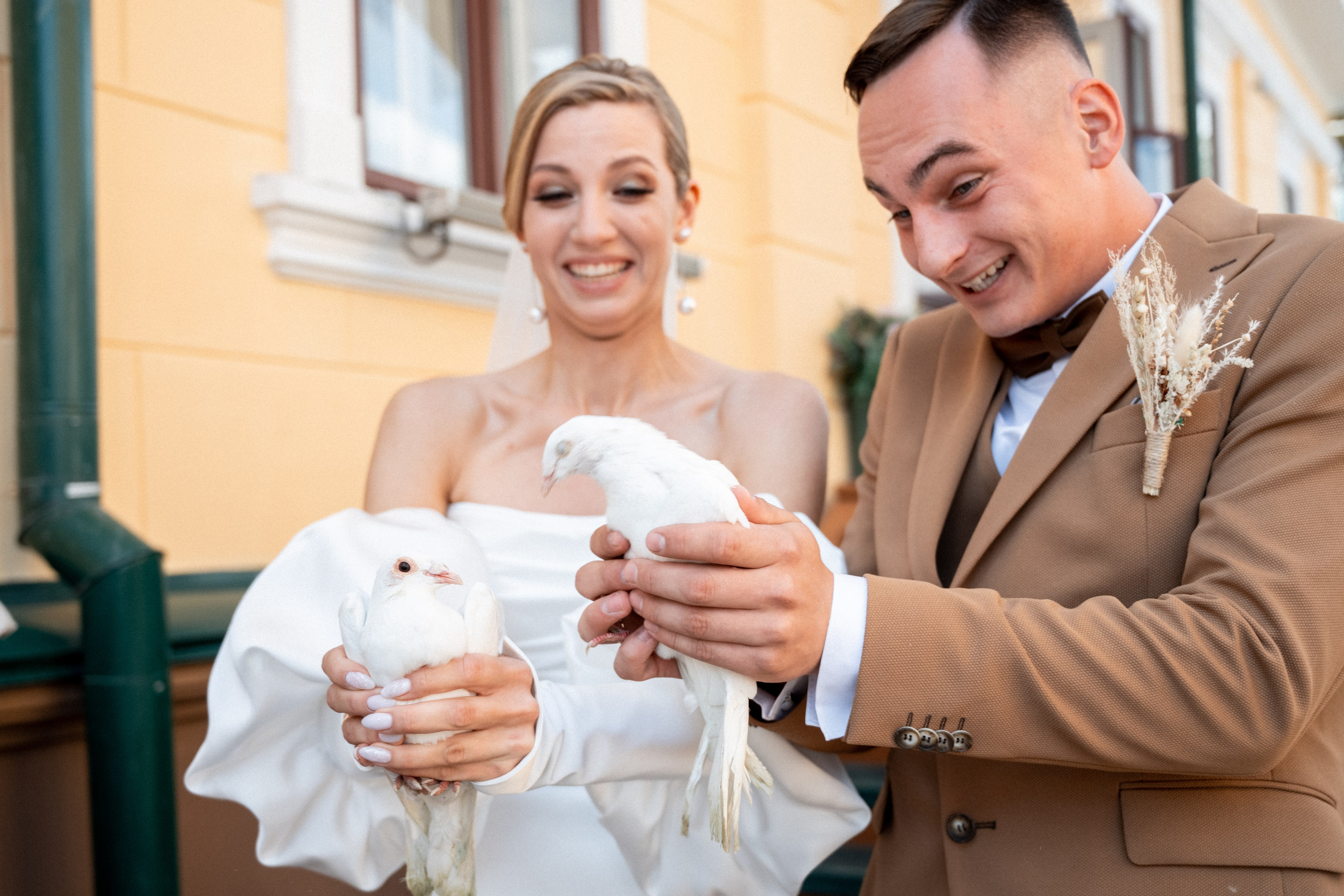 Свадьба Романа и Леры