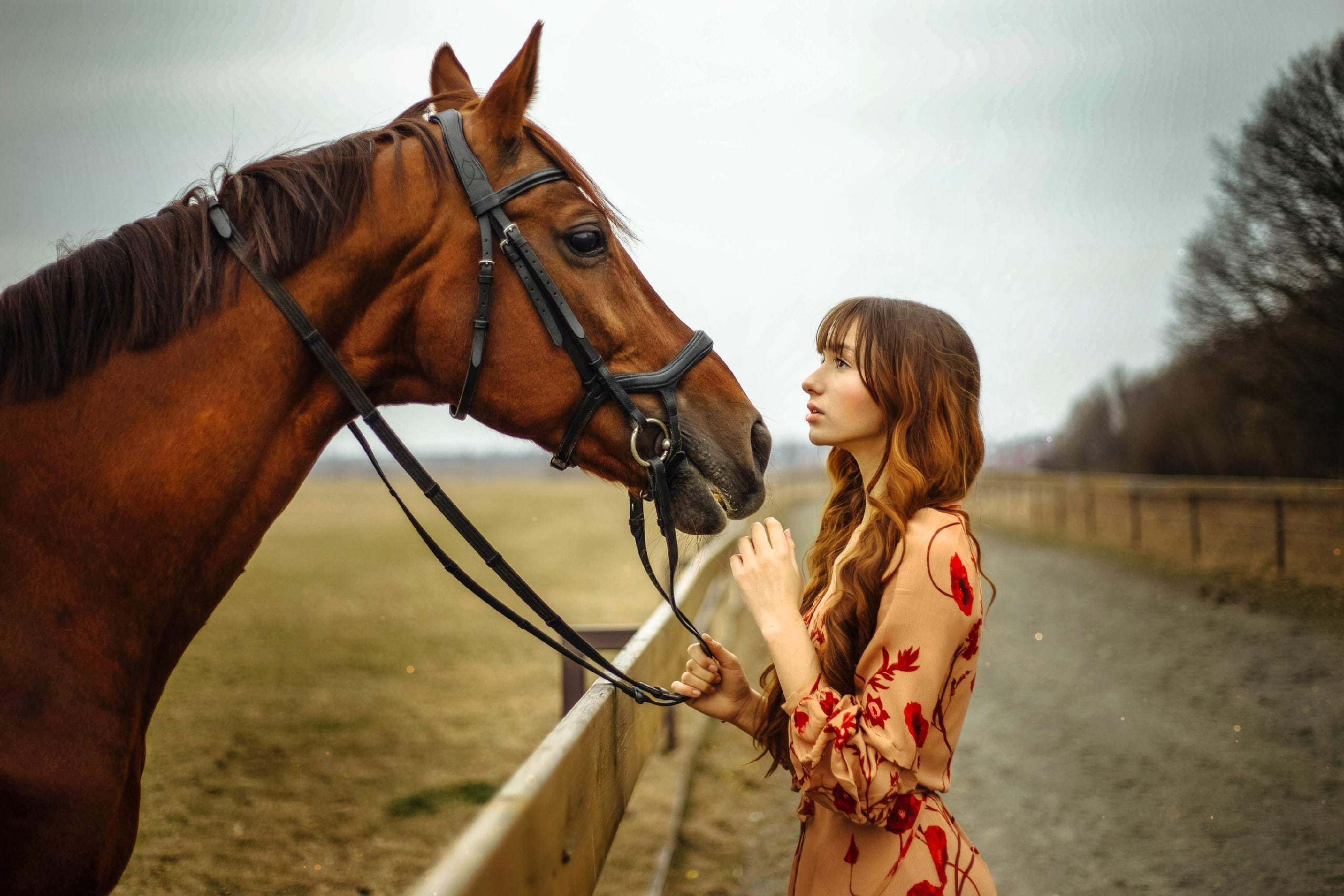 A & V. Елена Бордо | Фотограф Москва