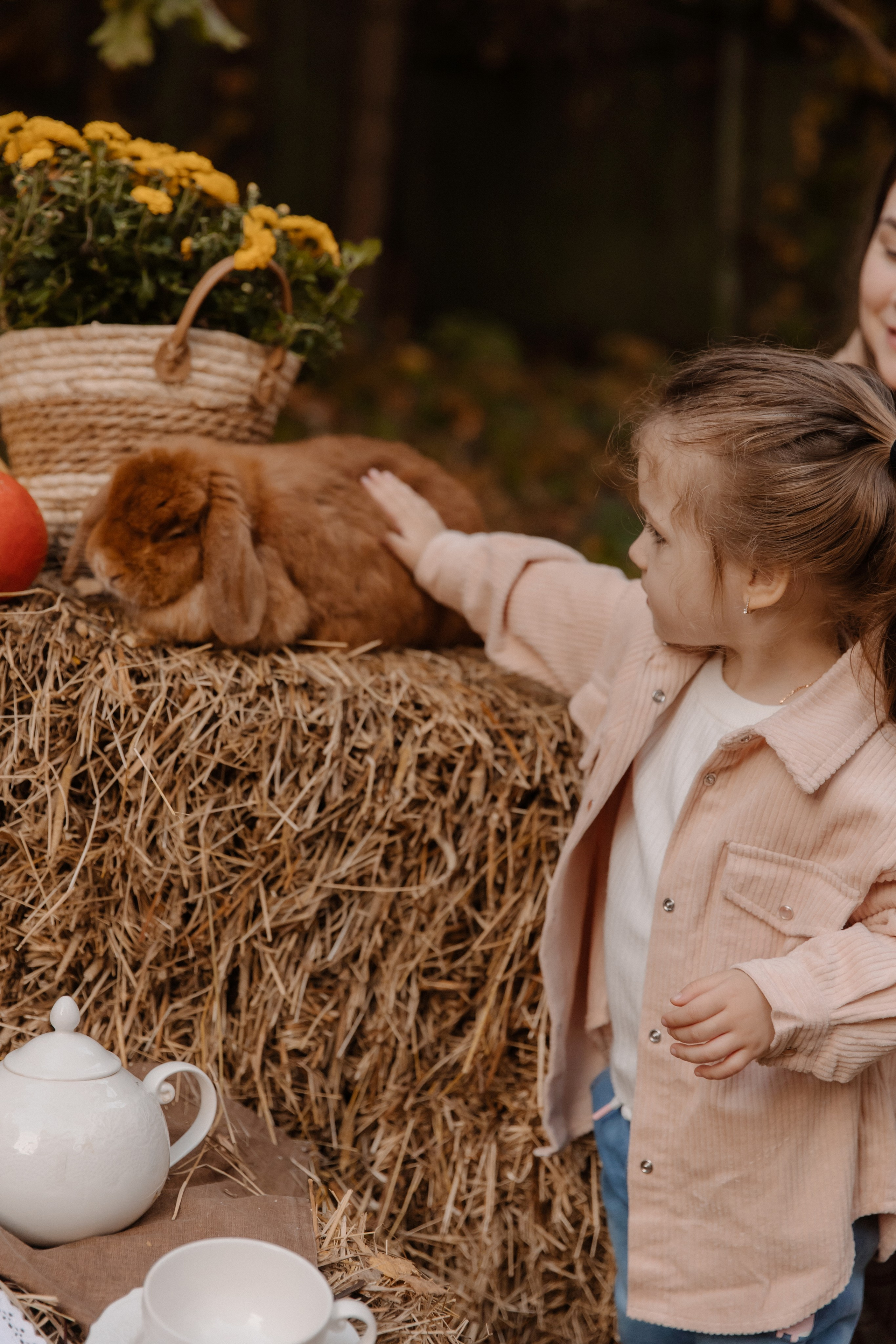 Съемка с кроликами. Семейный и свадебный фотограф в Москве и Зеленограде Пилипенко Юлия