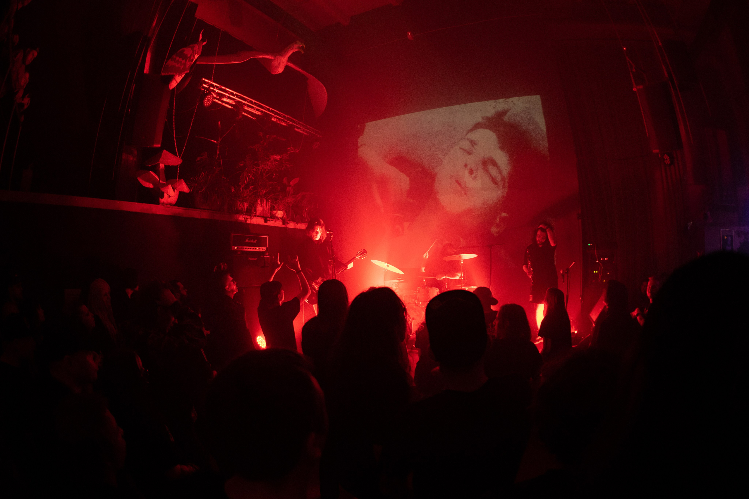 Шторм|Ласточка. Концертный и репортажный фотограф в Санкт-Петербурге Слава Пахомов