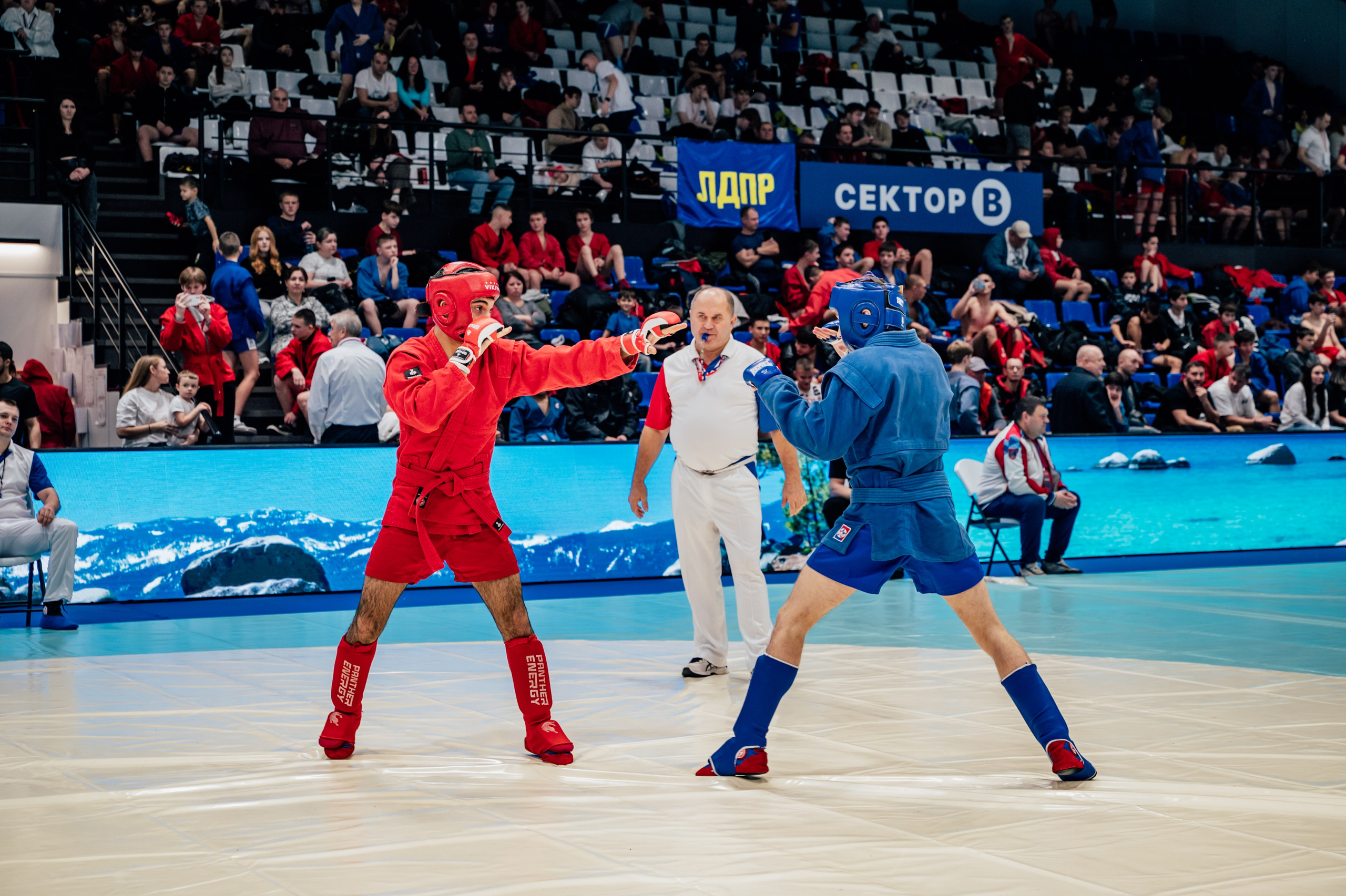 Турнир по самбо ЮФО