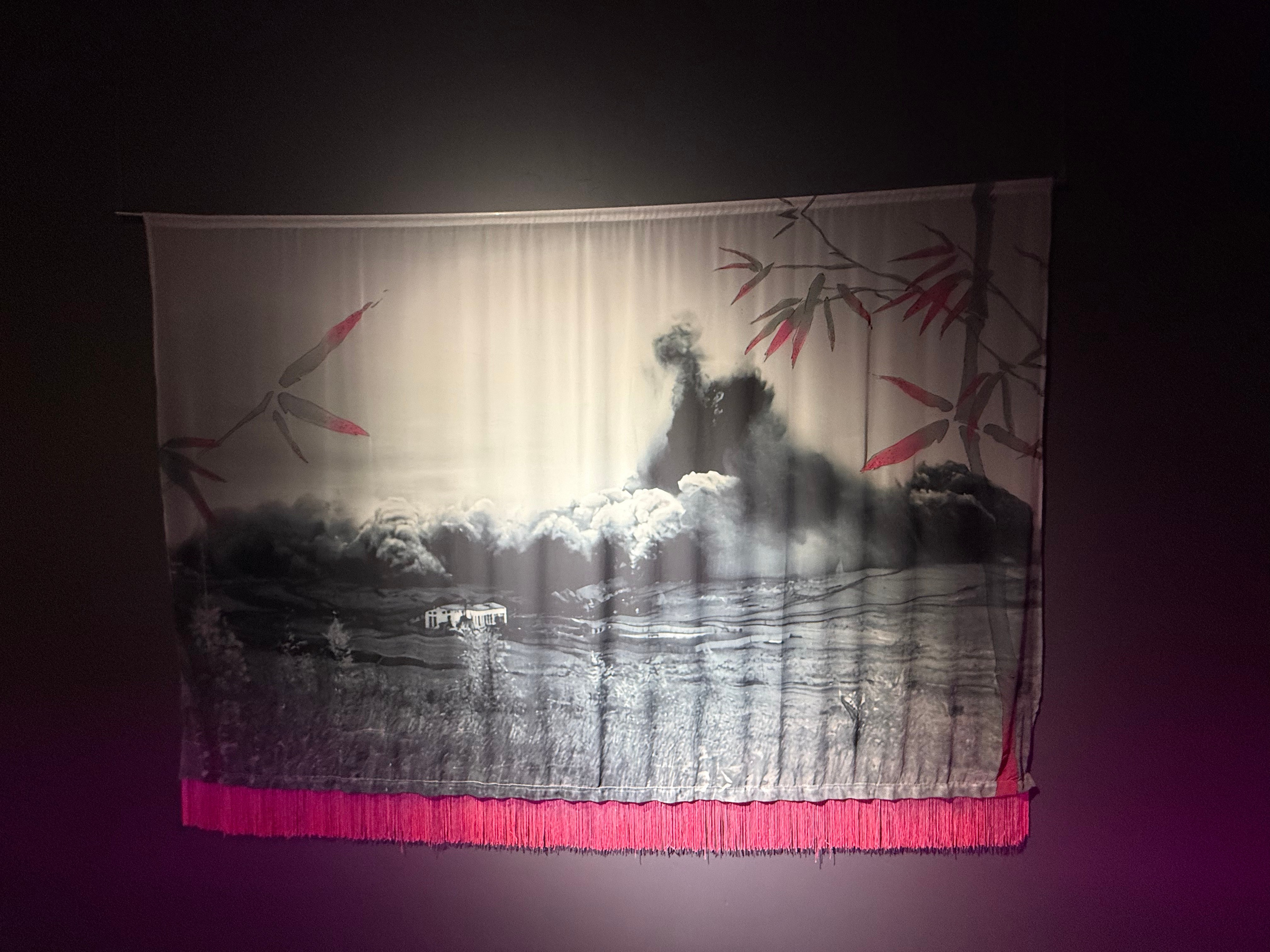 Красноярская музейная биеннале. Artist Anna Snegina Художница Анна Снегина