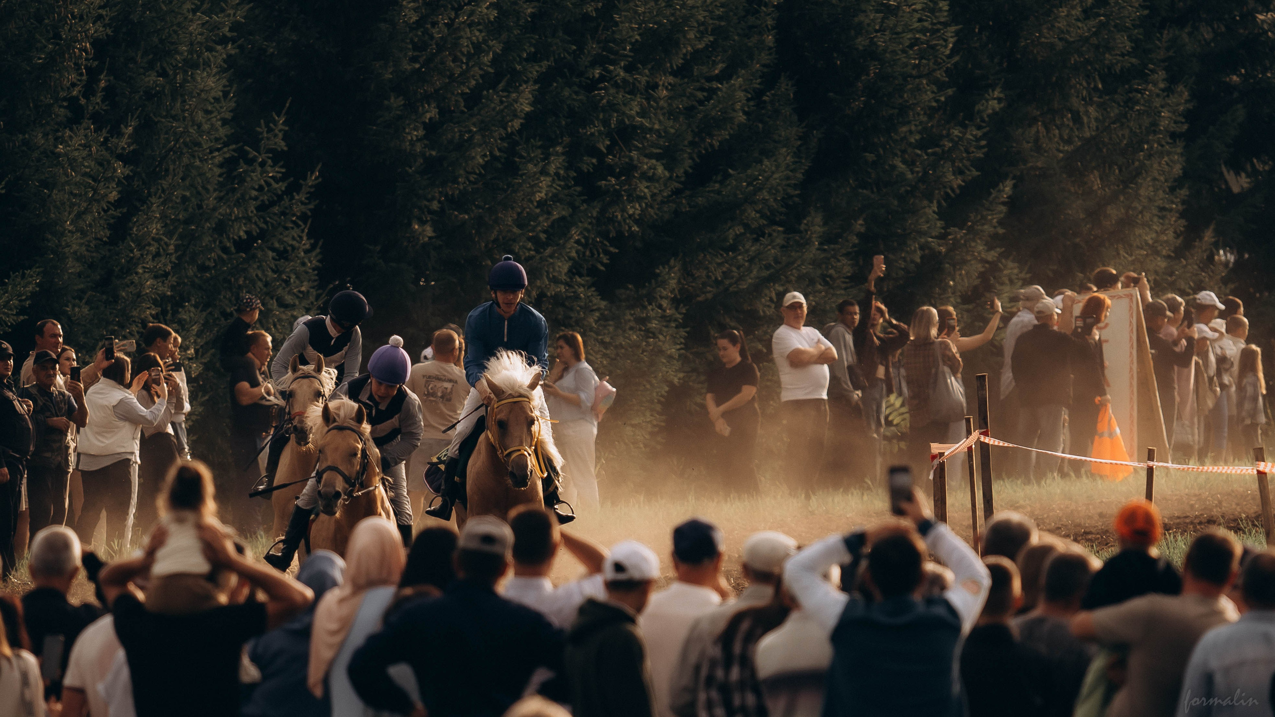 День Коня. Алиса Никитцова | Фотограф в Казани