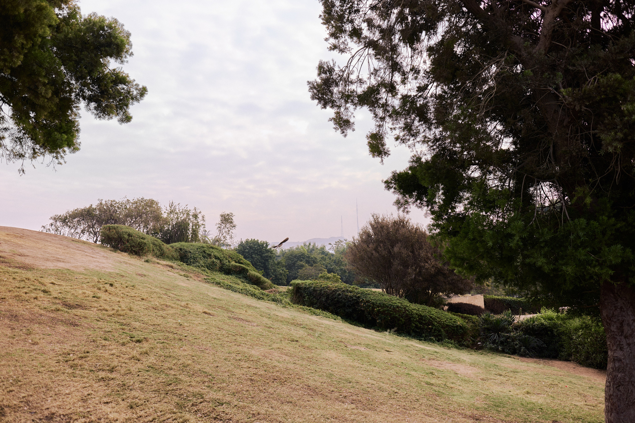 Другое 4. Jorgis — фотограф в Хургаде / обучение фотографии