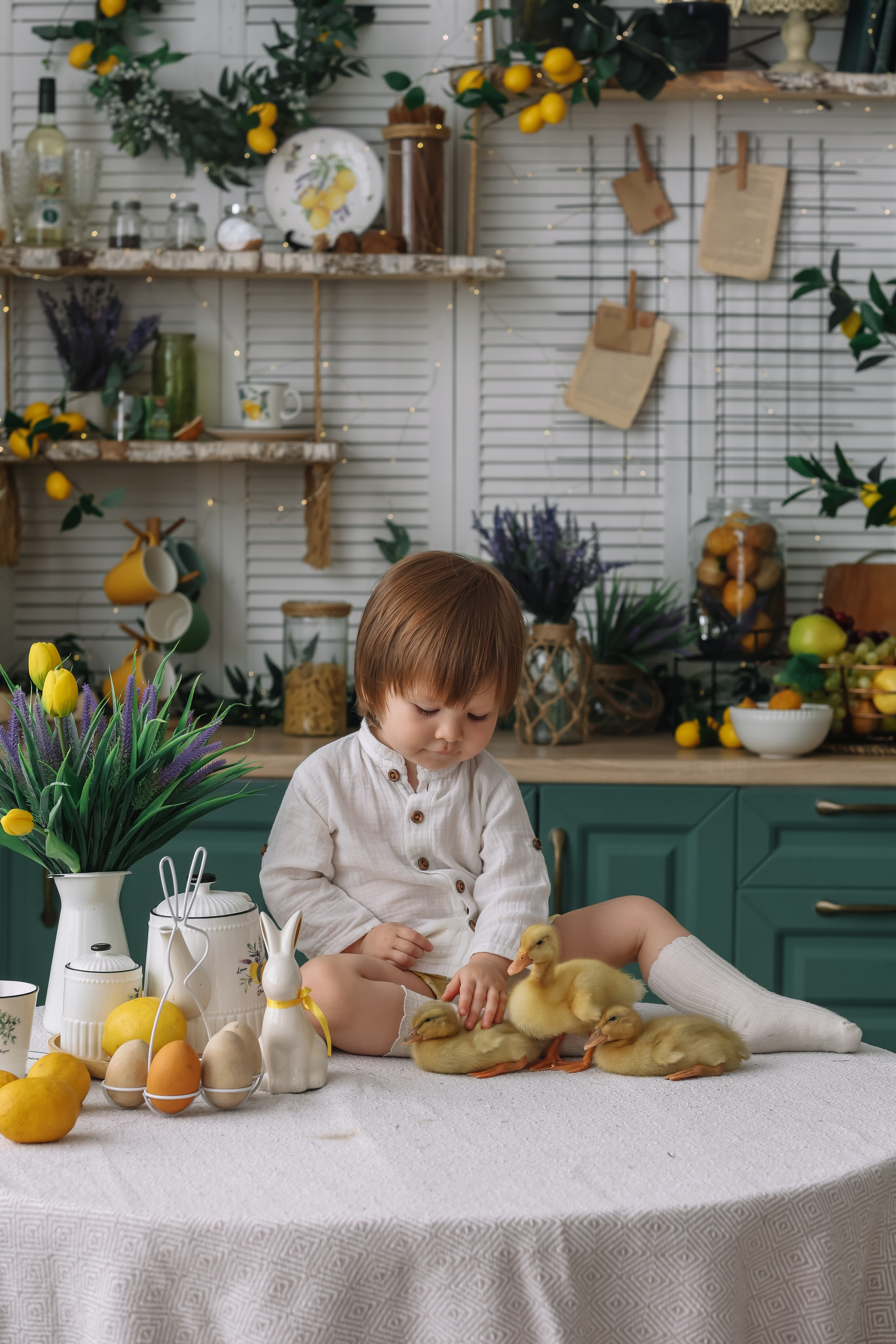 Утята. Фотограф и видеограф Анна Домашенко