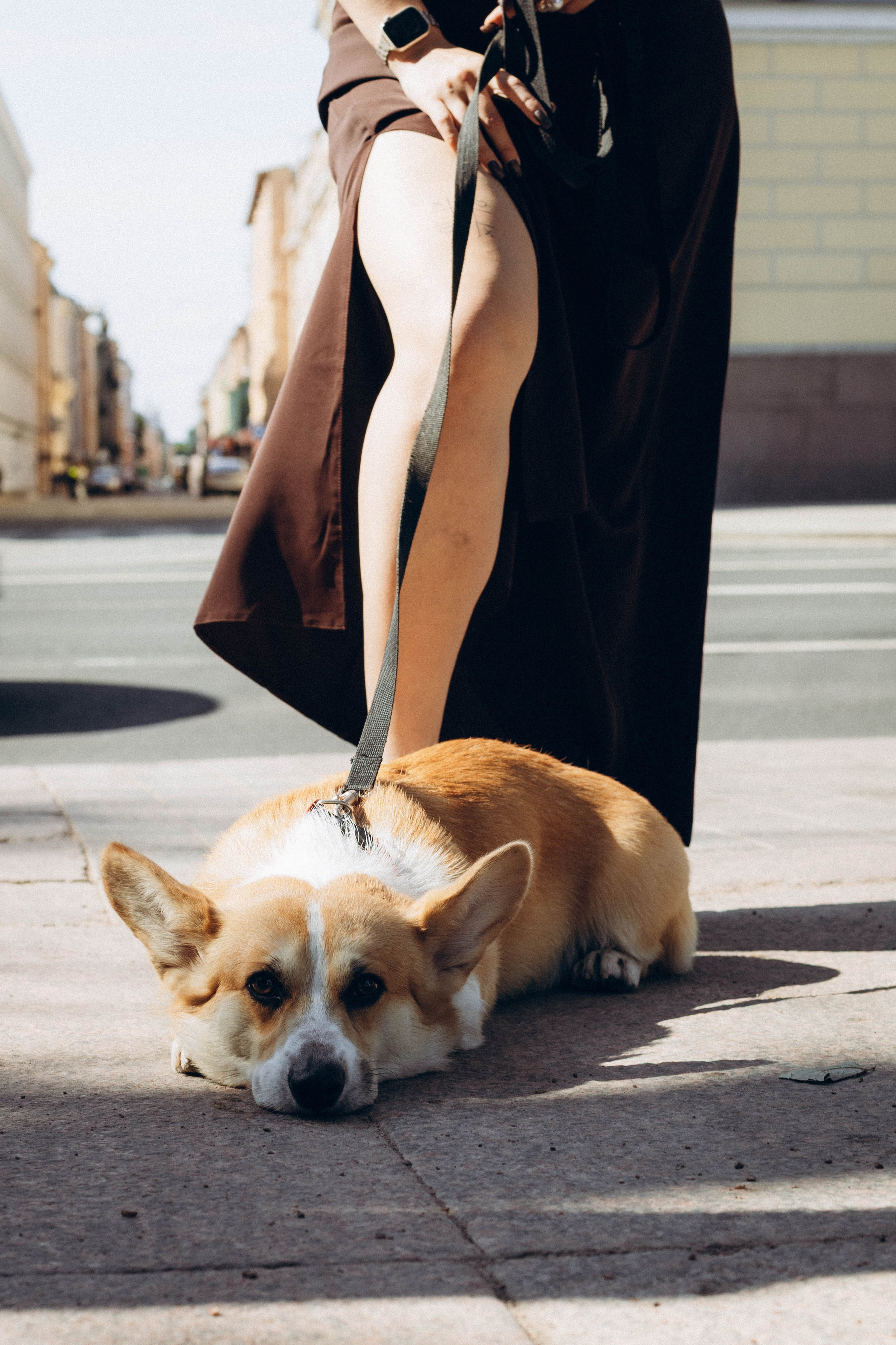 Фотосессия с собакой. Фотограф в Санкт-Петербурге Полина