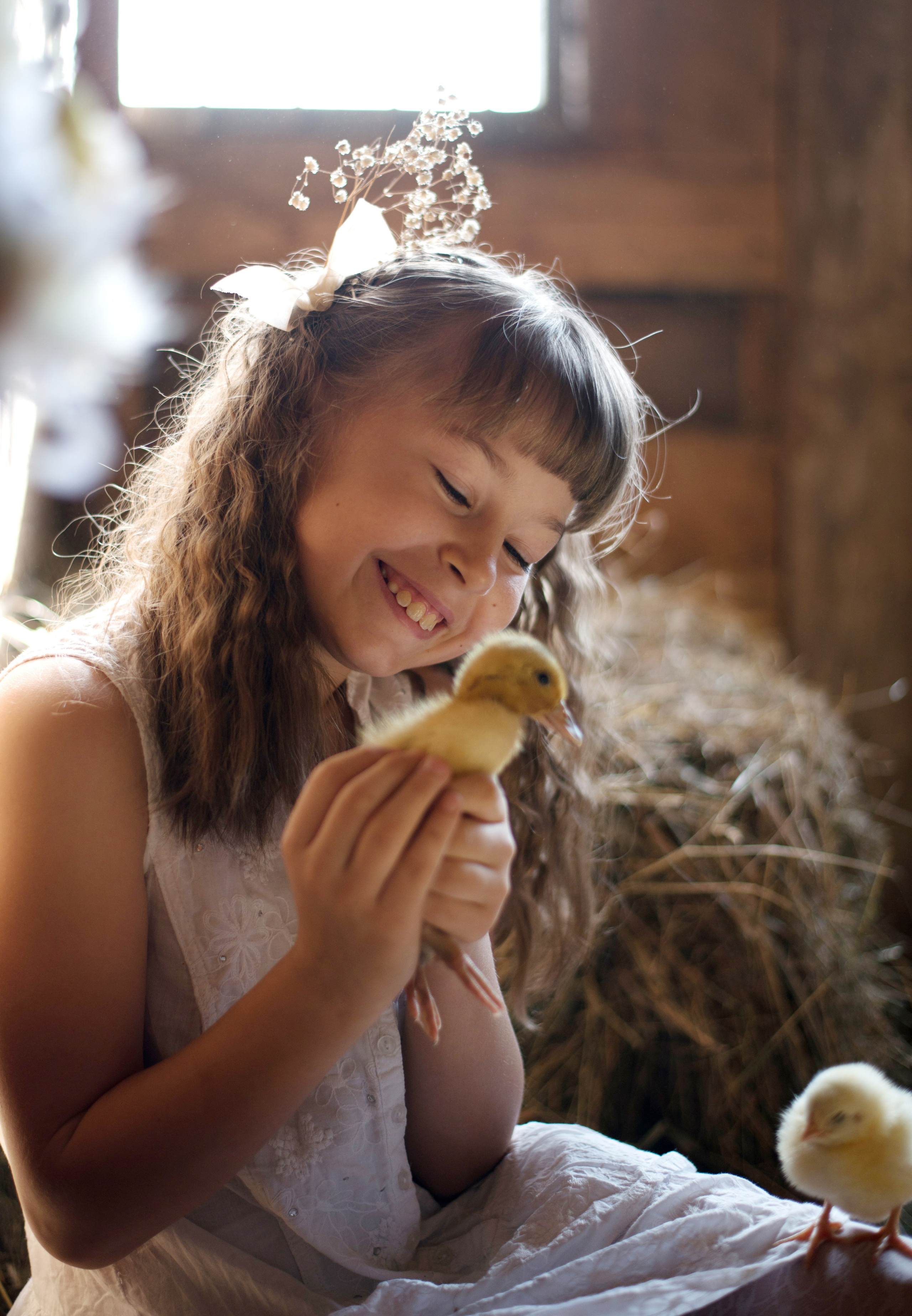 Разные фотосъемки. Конный фотограф в Саратове Юлия Иванова