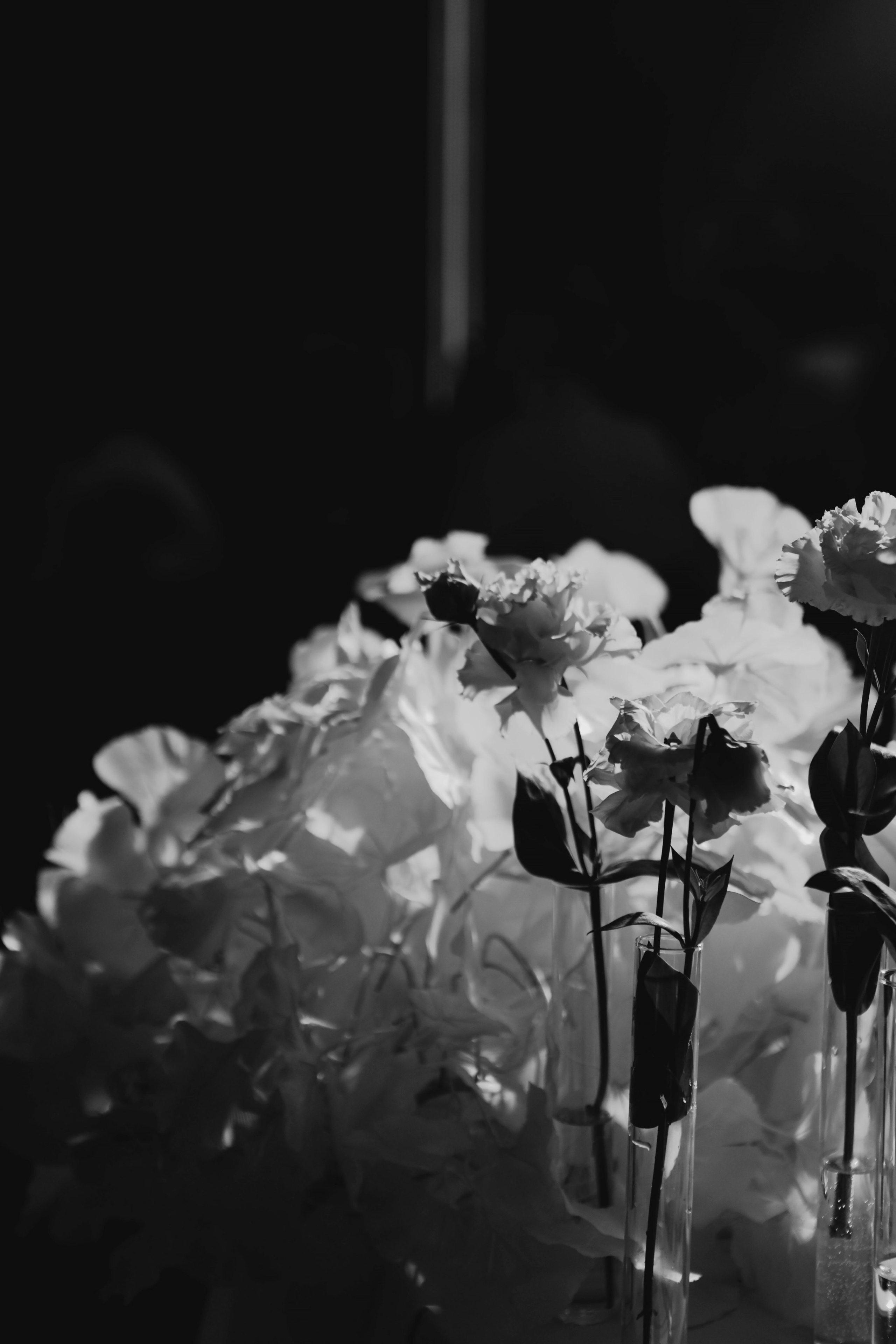 По настоящему. Свадебный и семейный фотограф Арестенко Анастасия