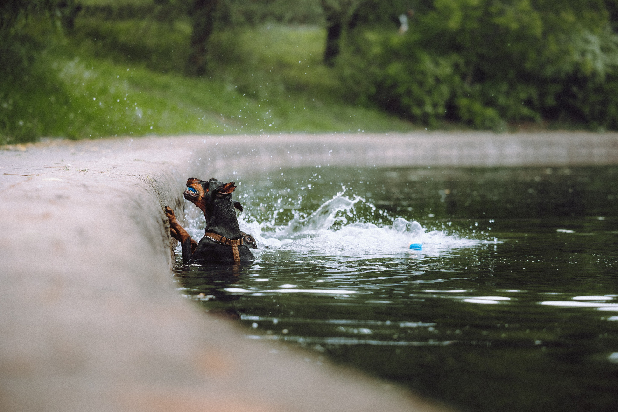 Паша, Хайди и Тея