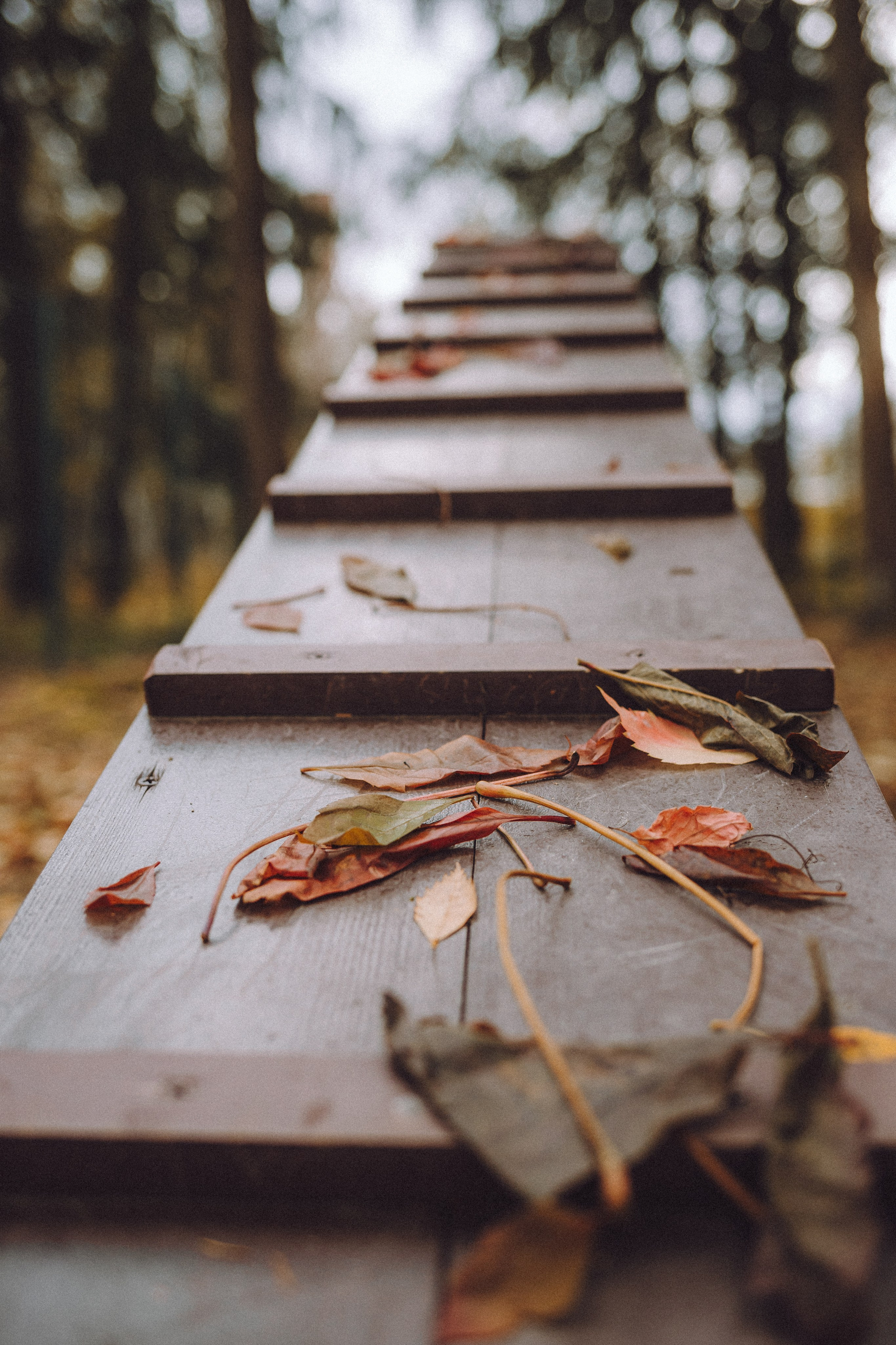 Хлоя, Герда и их семья