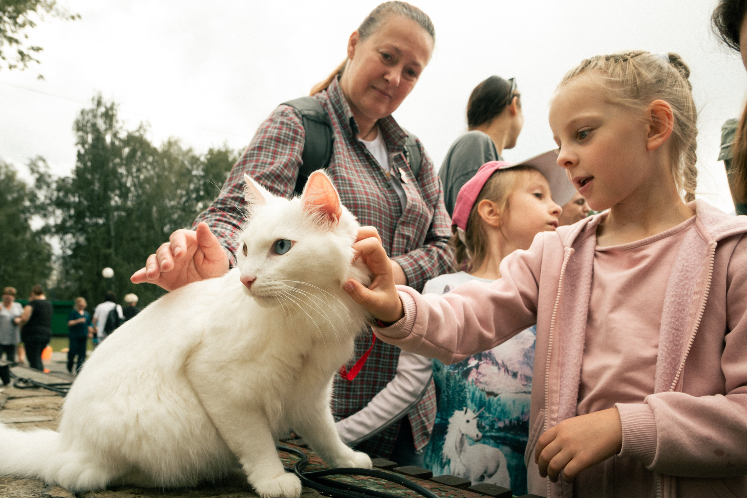 ЭкоФест 2024. Фотограф в Ярославле Никита Зайцев