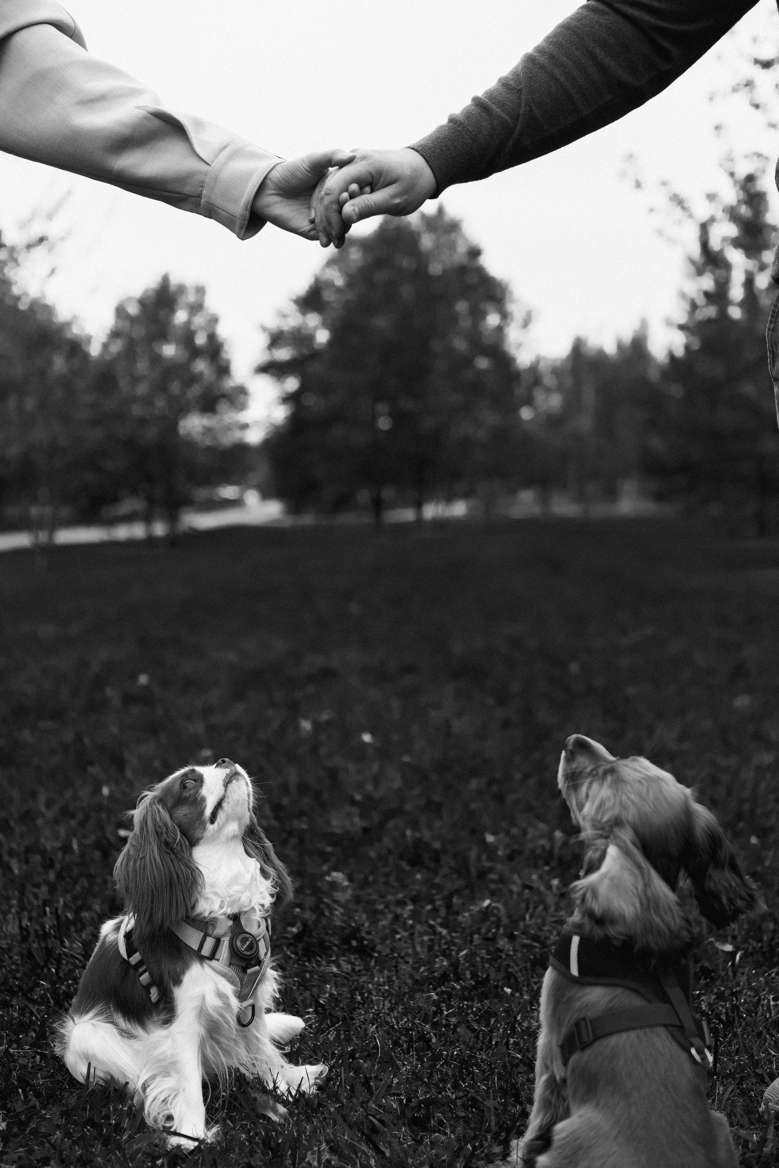 Рената и Сергей. Портретный фотограф в Москве Анастасия