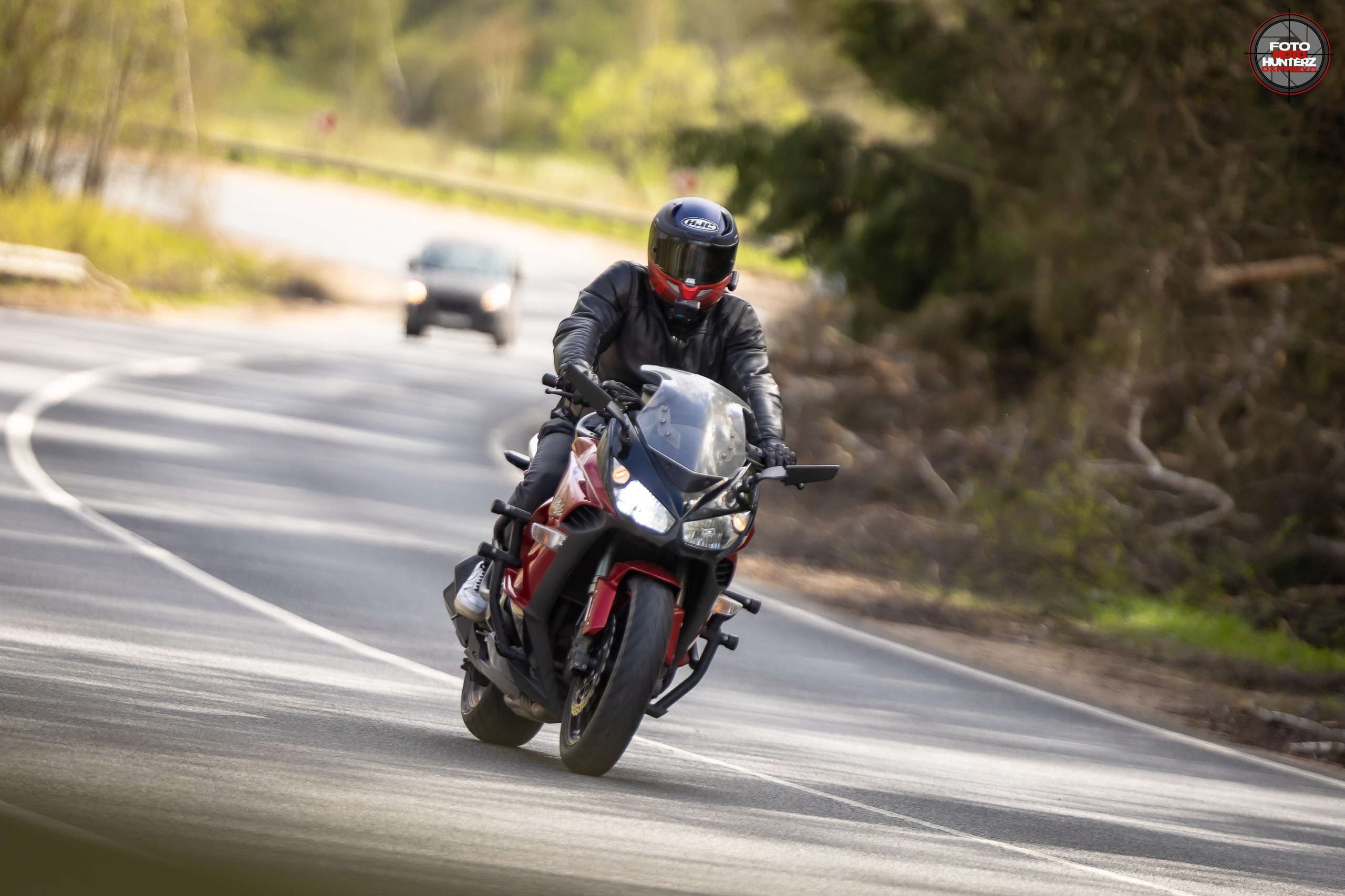 Первое Сафари в 2025 г. на Рогачевском ш. Фотограф Владимир Охрименко