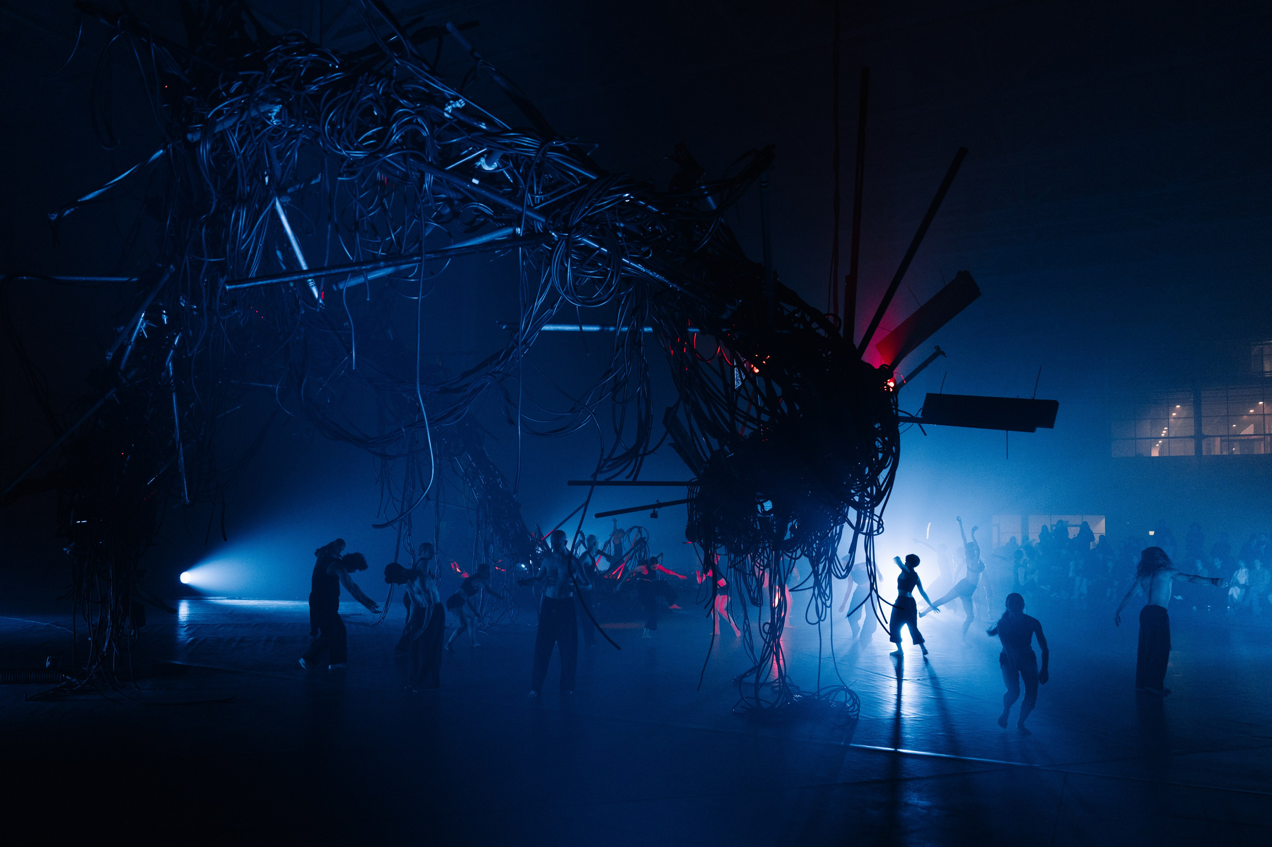 PERFORMA, The Hour of the Horse. @tomrus: Рустам Шагиморданов — фотограф