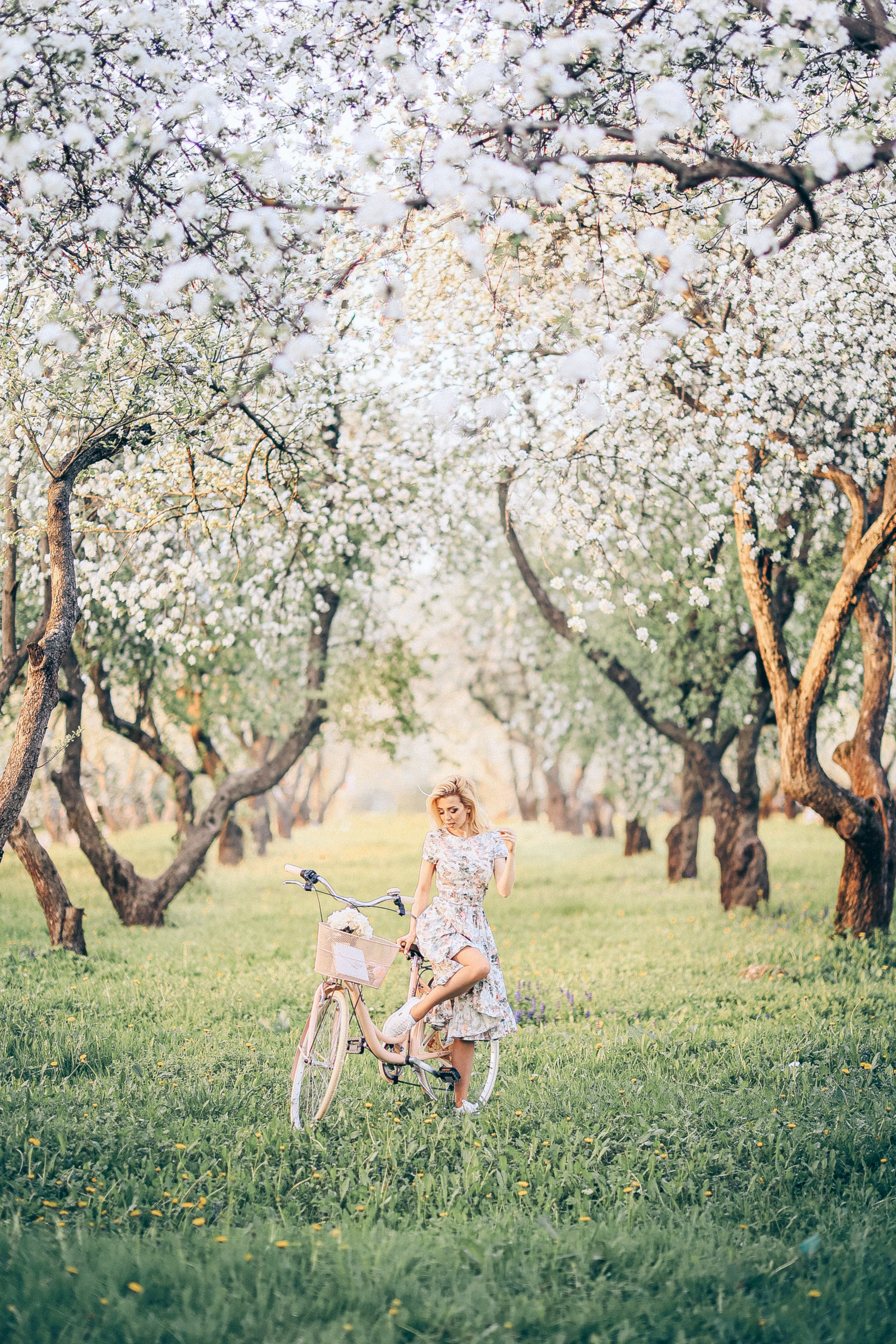 Портретный фотогараф Москва цветение. Фотограф Москва — Павел Михайлов