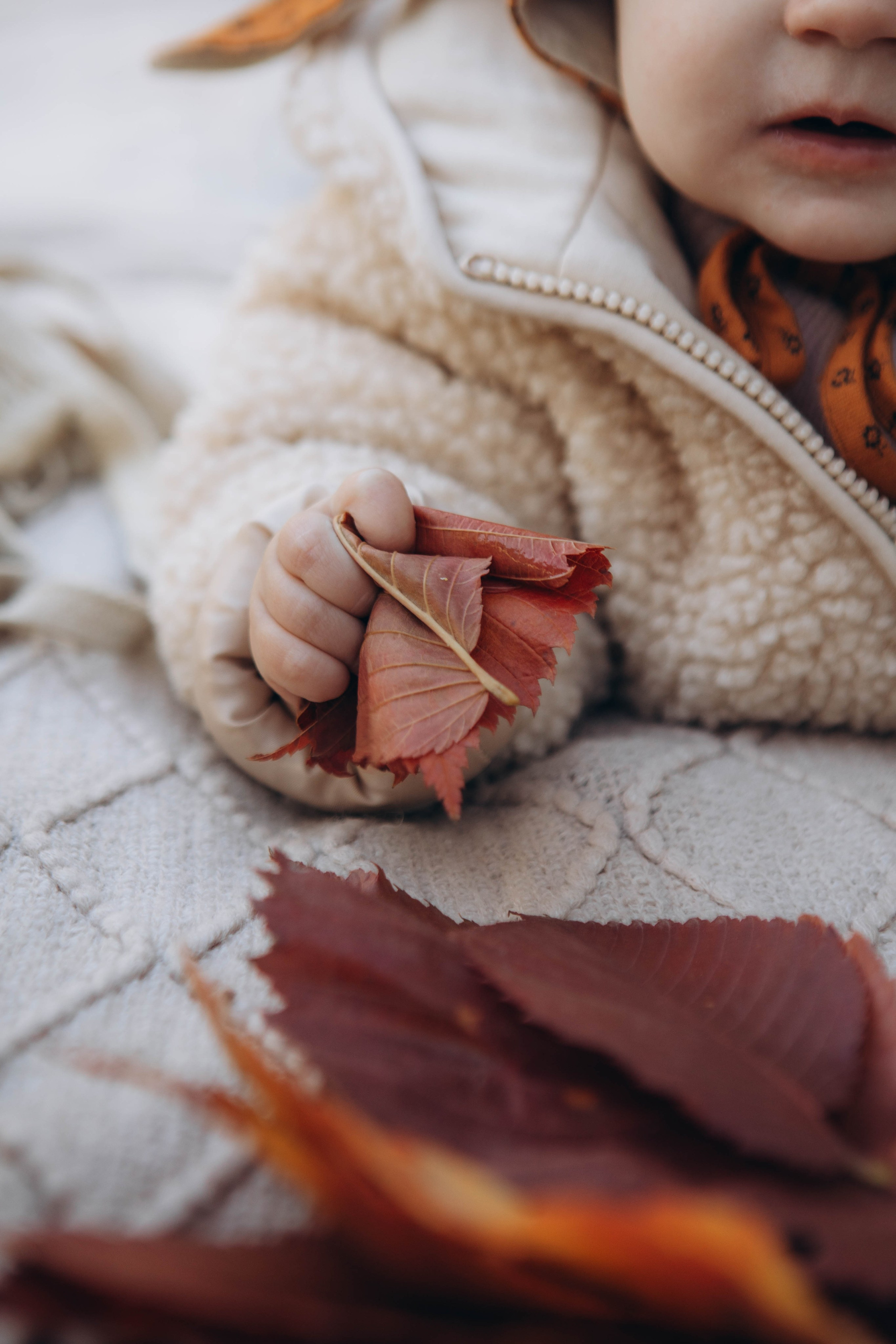 Осенняя. Наталья Косьянова. Ваш фотограф. Москва